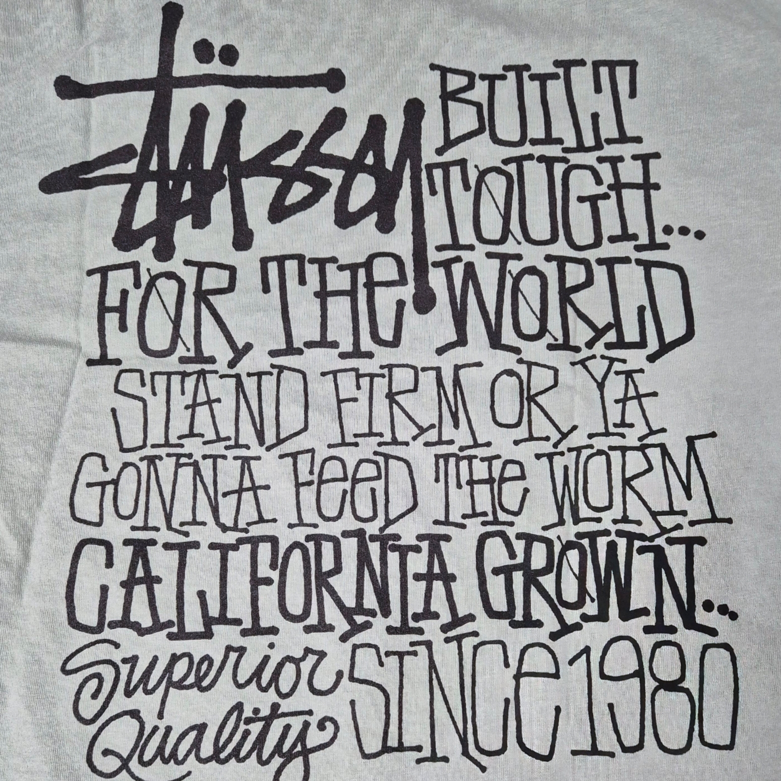 Stussy California Grown Pigment Dyed T-Shirt Granite 착용 스타일 - 1