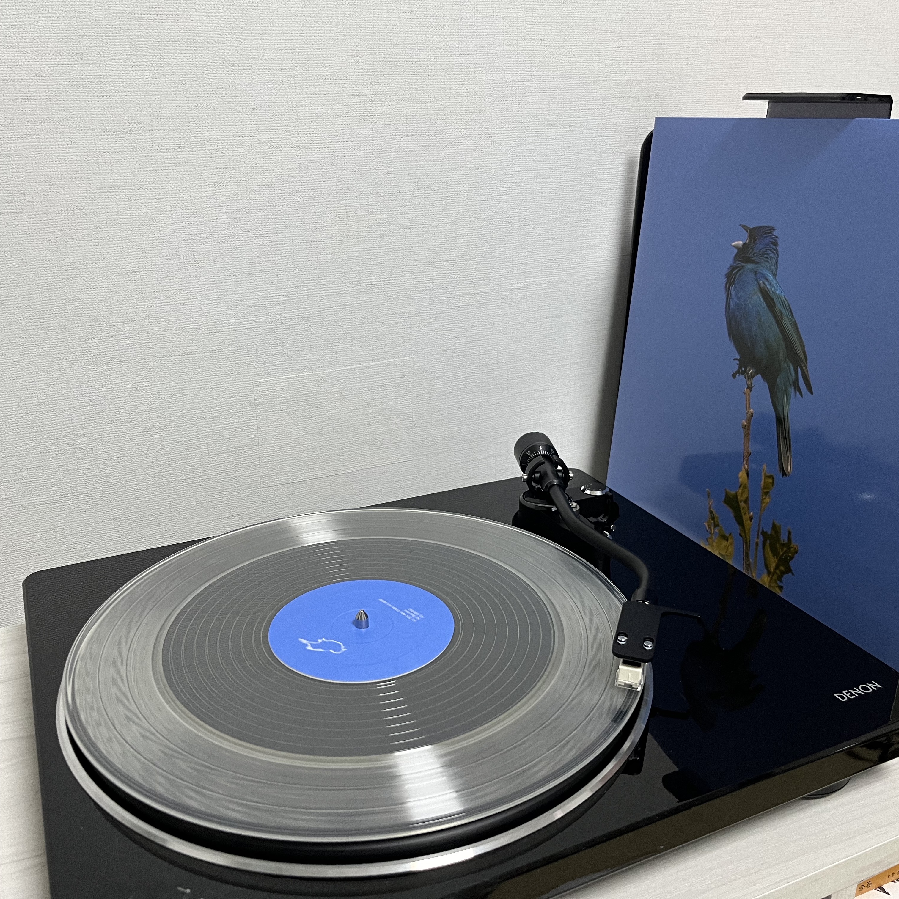 Yoon Jiyoung Blue Bird LP Clear 착용 스타일 - 1