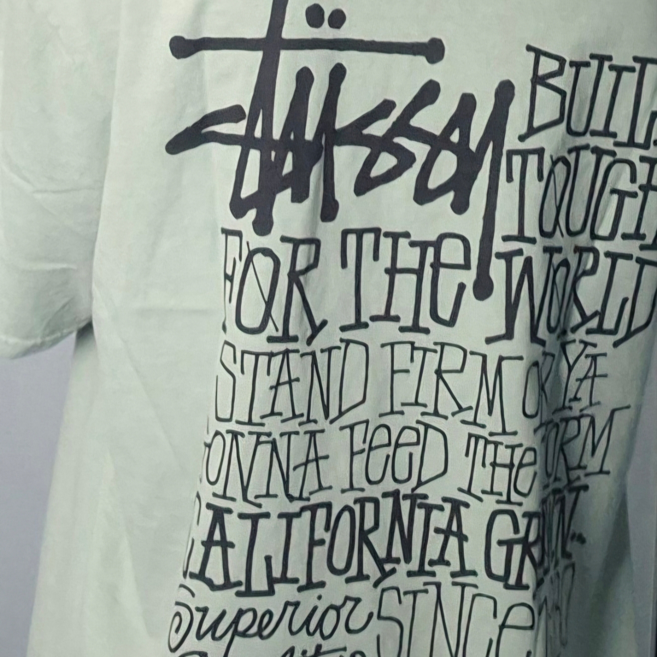 Stussy California Grown Pigment Dyed T-Shirt Granite 착용 스타일 - 2