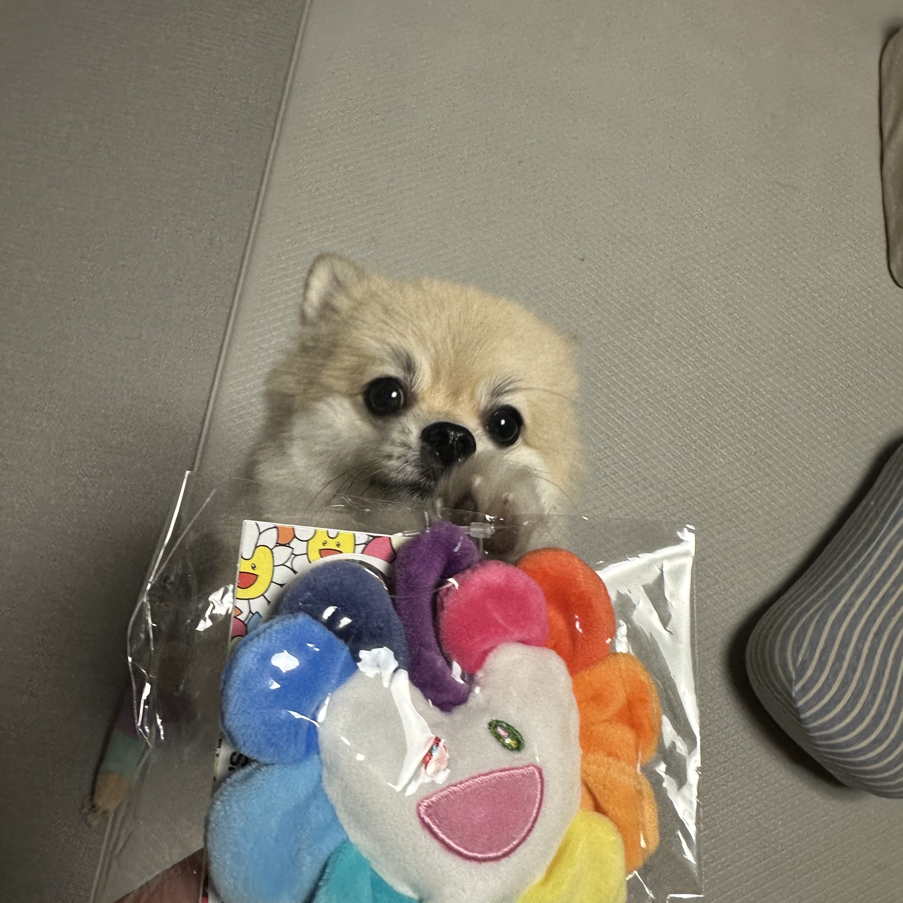 NewJeans x Murakami Plush Keyring Flower 착용 스타일