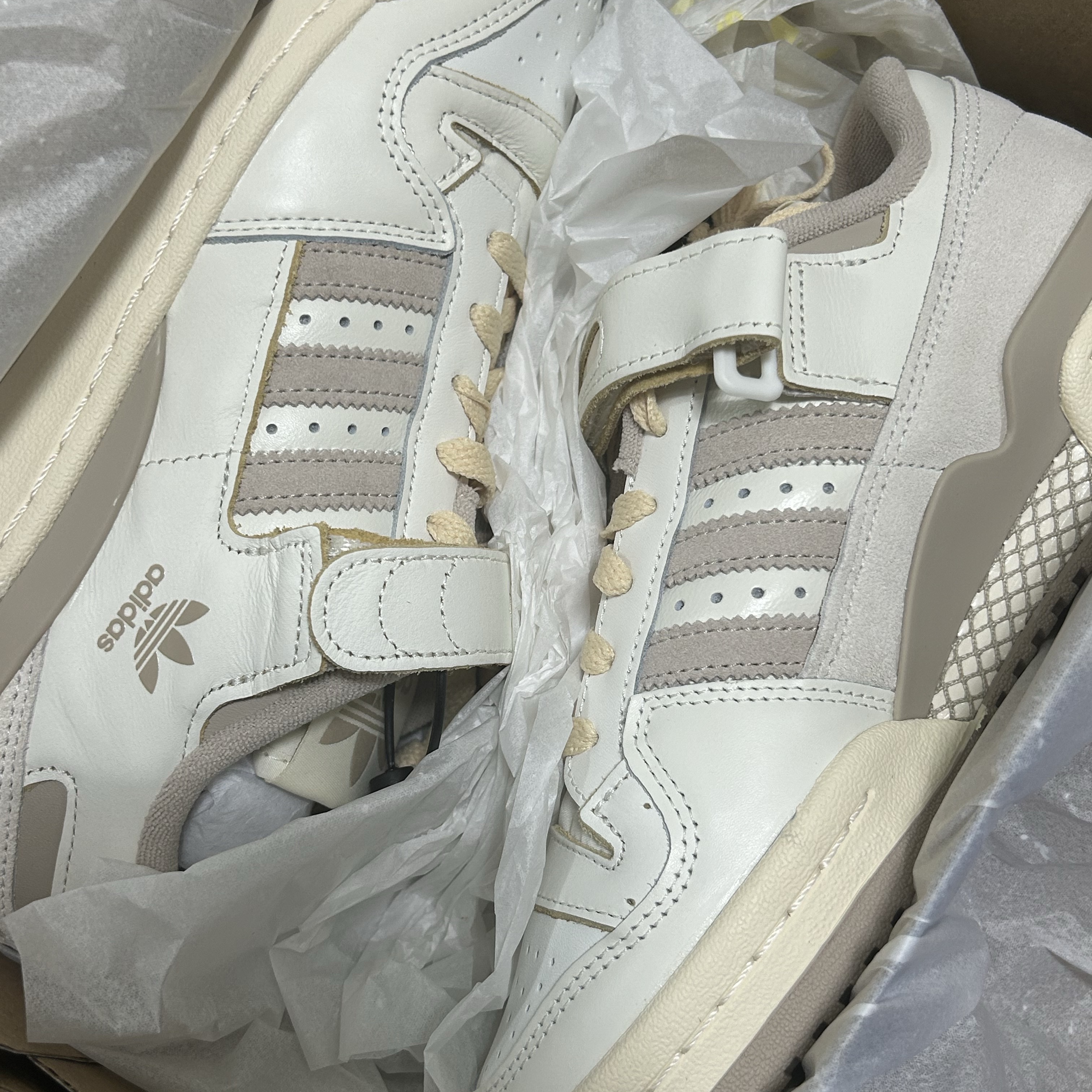 Adidas Forum 84 Low Off White Wonder Beige 착용 스타일