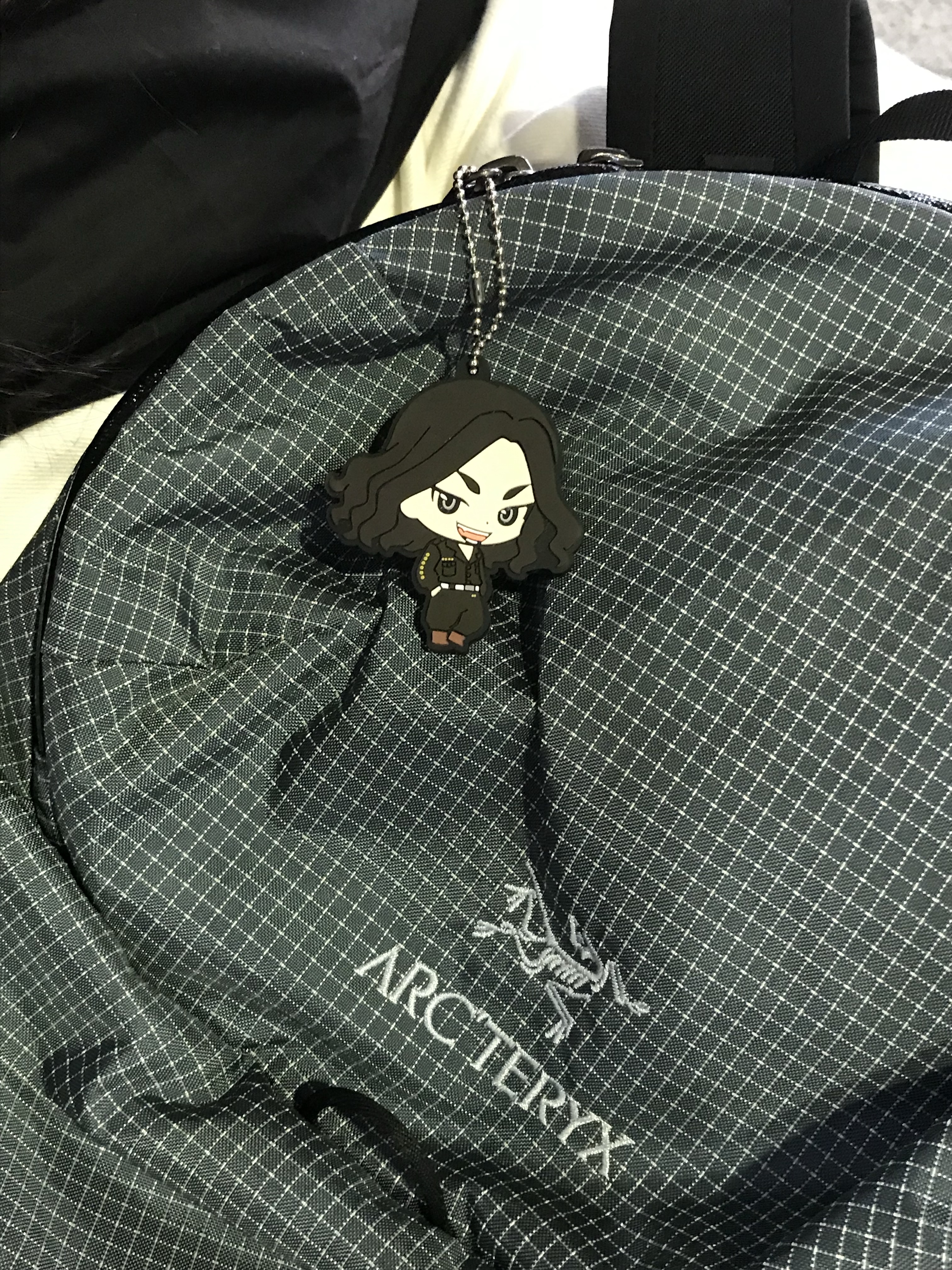 Arc'teryx Konseal 15 Backpack Neptune 착용 스타일 - 3