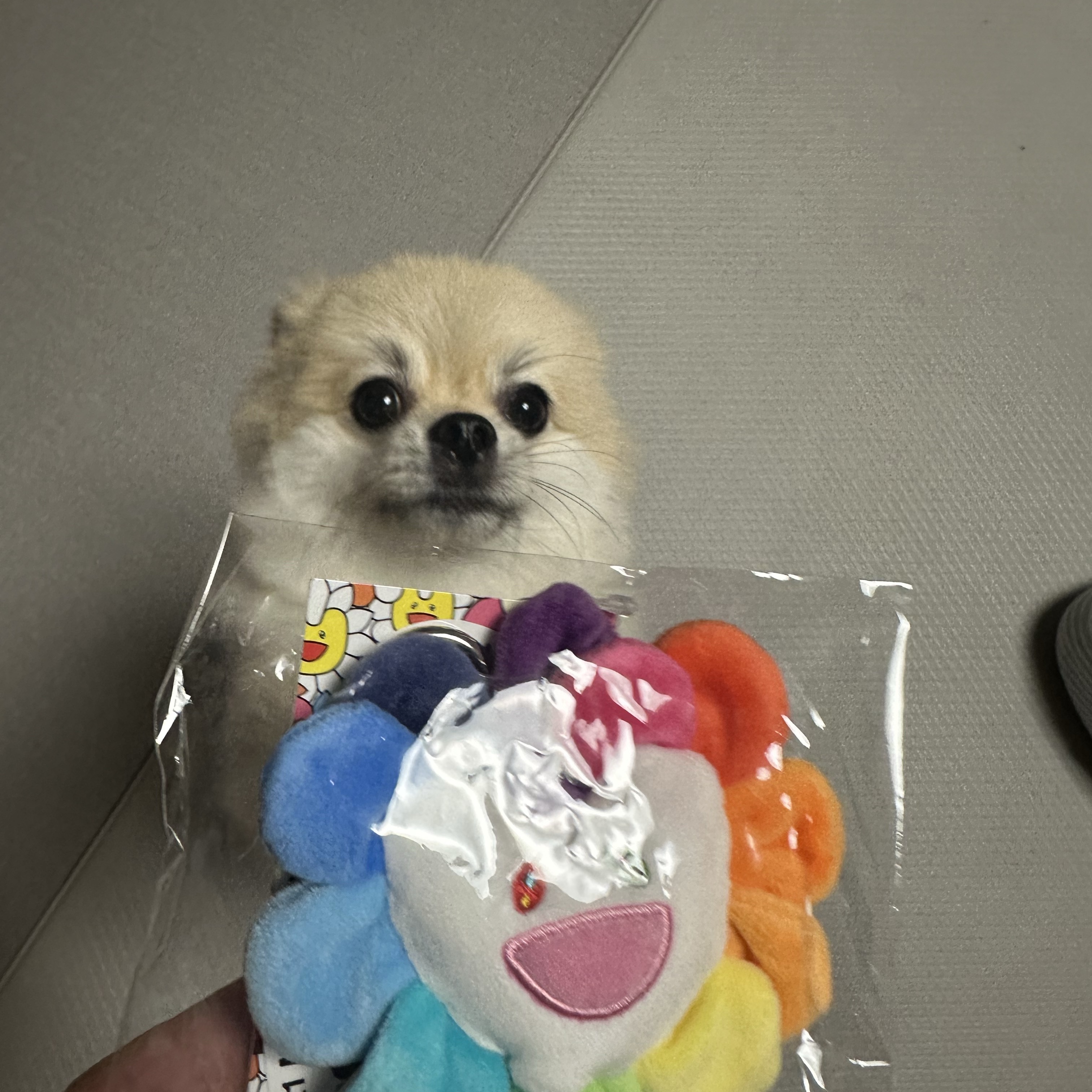 NewJeans x Murakami Plush Keyring Flower 착용 스타일