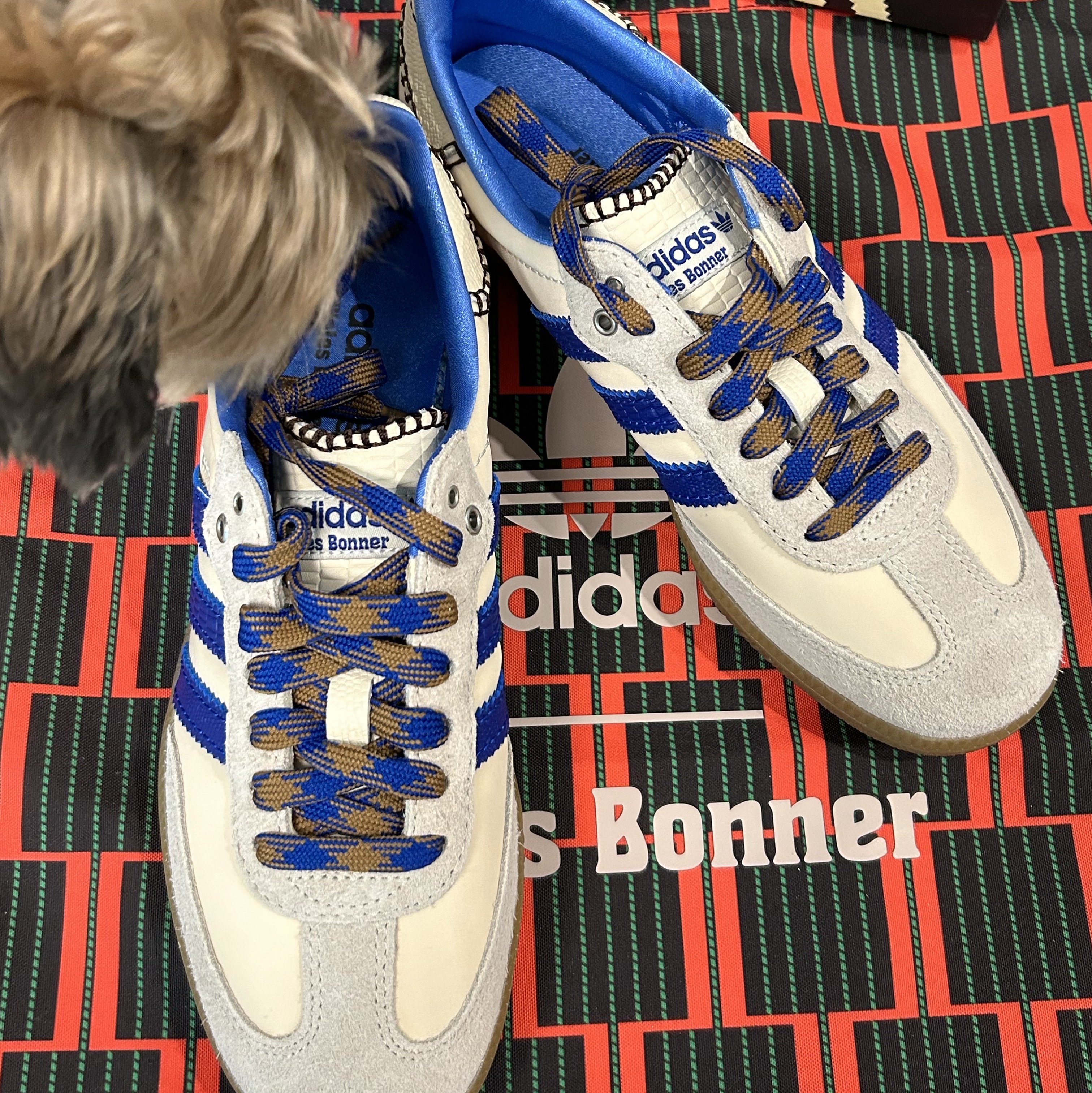 Adidas x Wales Bonner Samba Wonder Clay Royal Blue 착용 스타일