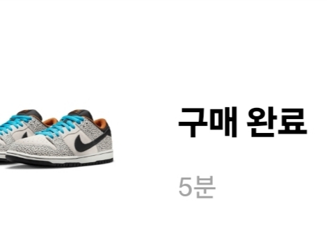 Nike SB Dunk Low Pro Electric Phantom and Black 착용 스타일