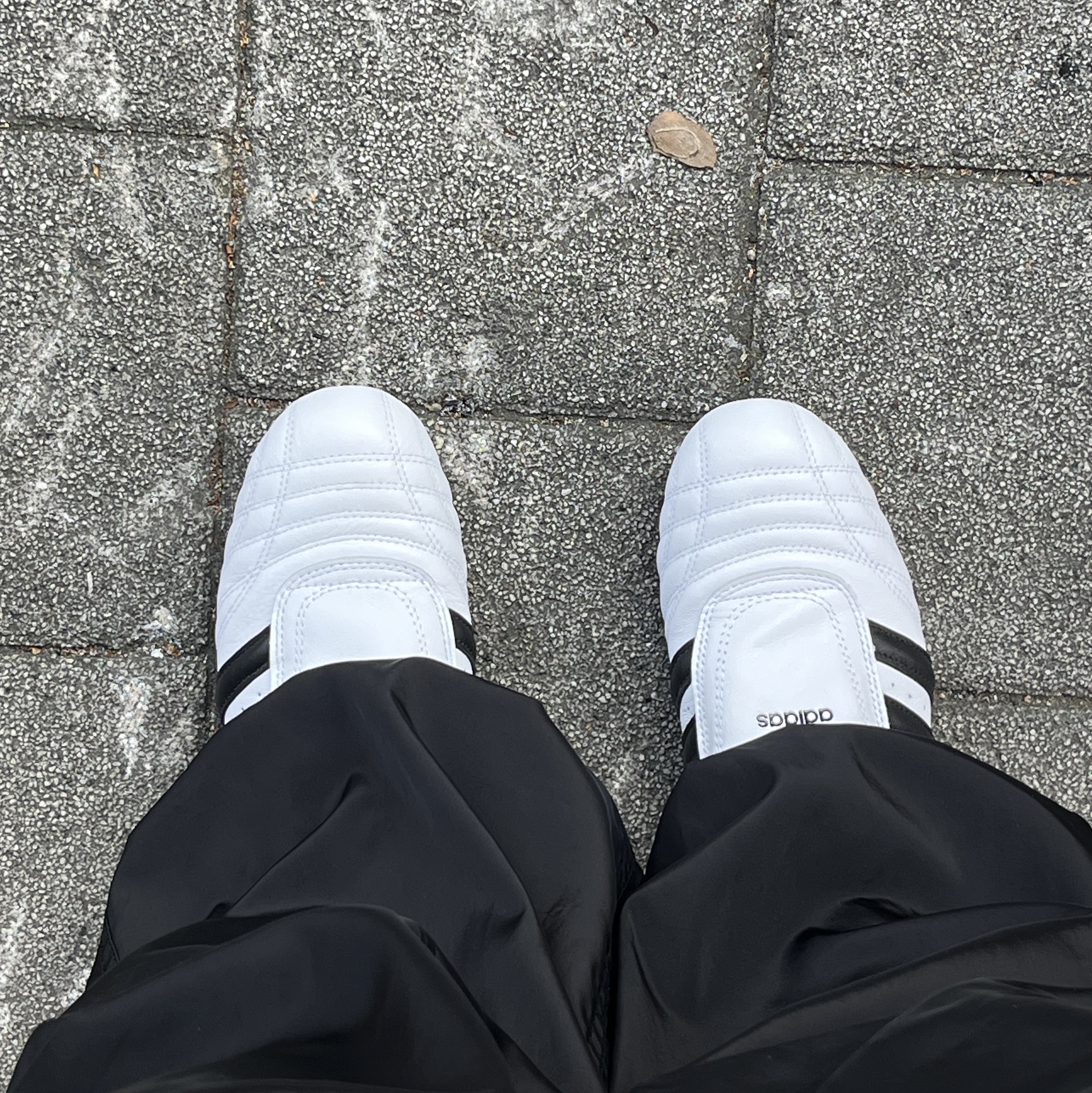 (W) Adidas Taekwondo Cloud White Core Black 착용 스타일