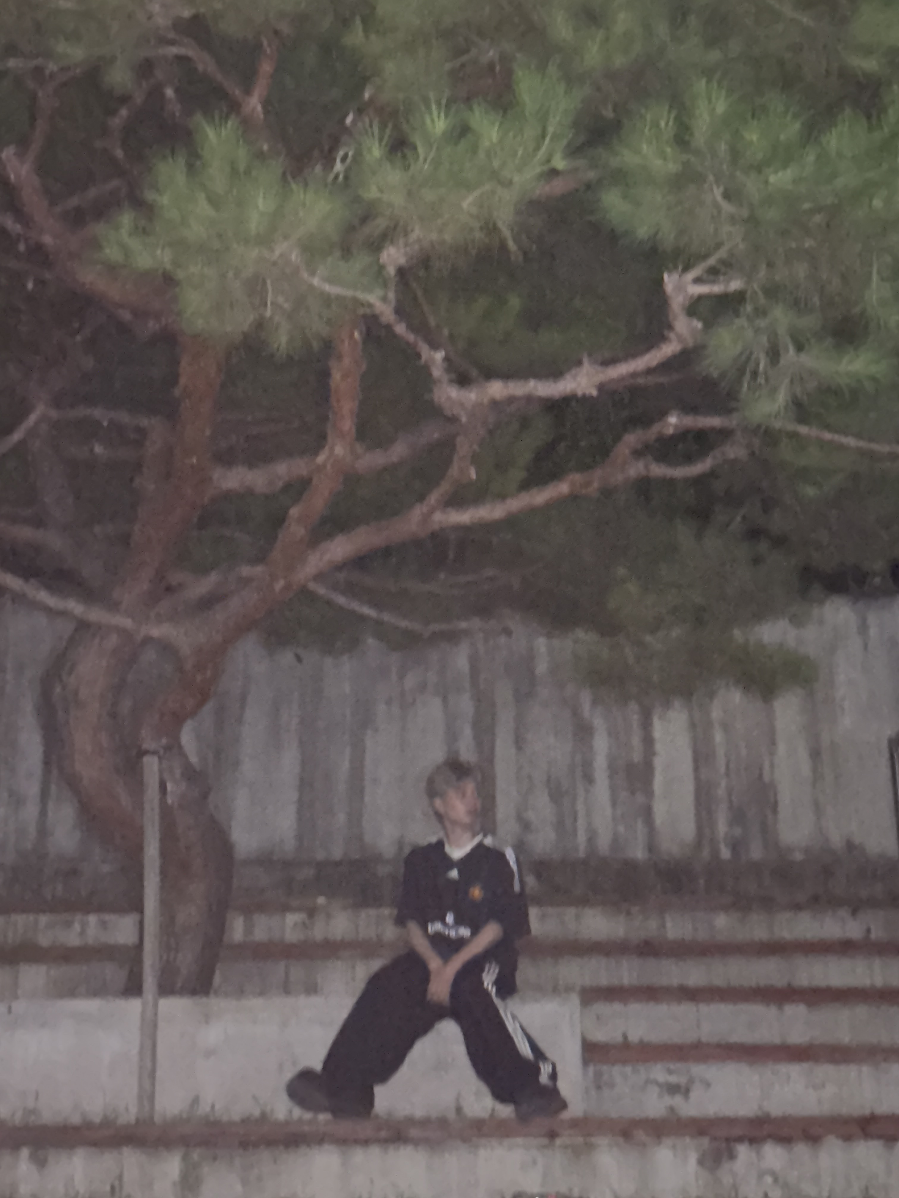 Balenciaga x Adidas Oversized Football T-Shirt Black, Balenciaga x Adidas Tracksuit Trousers Black 착용 스타일 - 8
