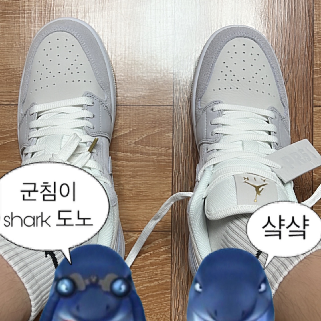 Jordan 1 Low Paris 착용 스타일