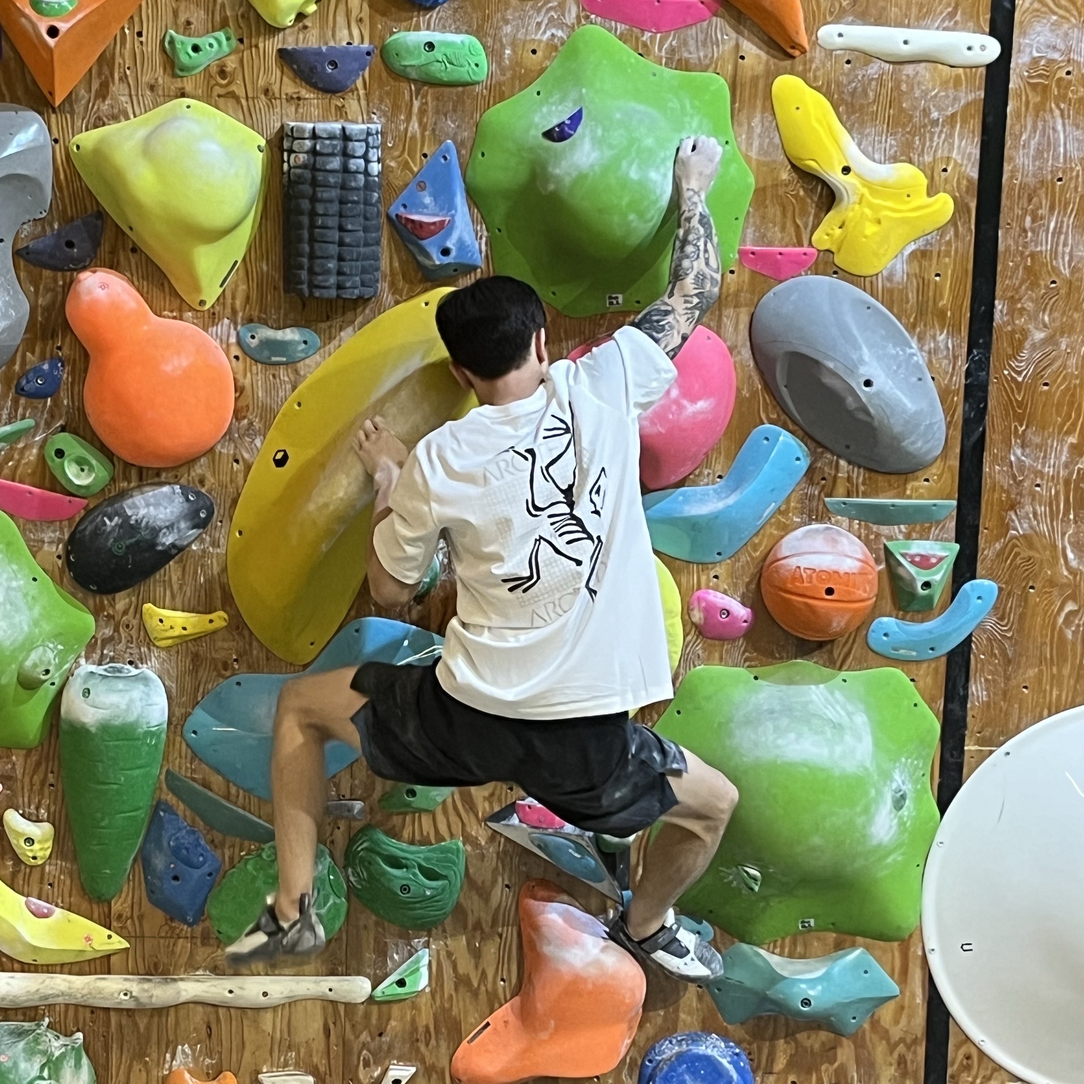 Arc'teryx Arc'Multi Bird Logo SS T-Shirt White Light 착용 스타일 - 2