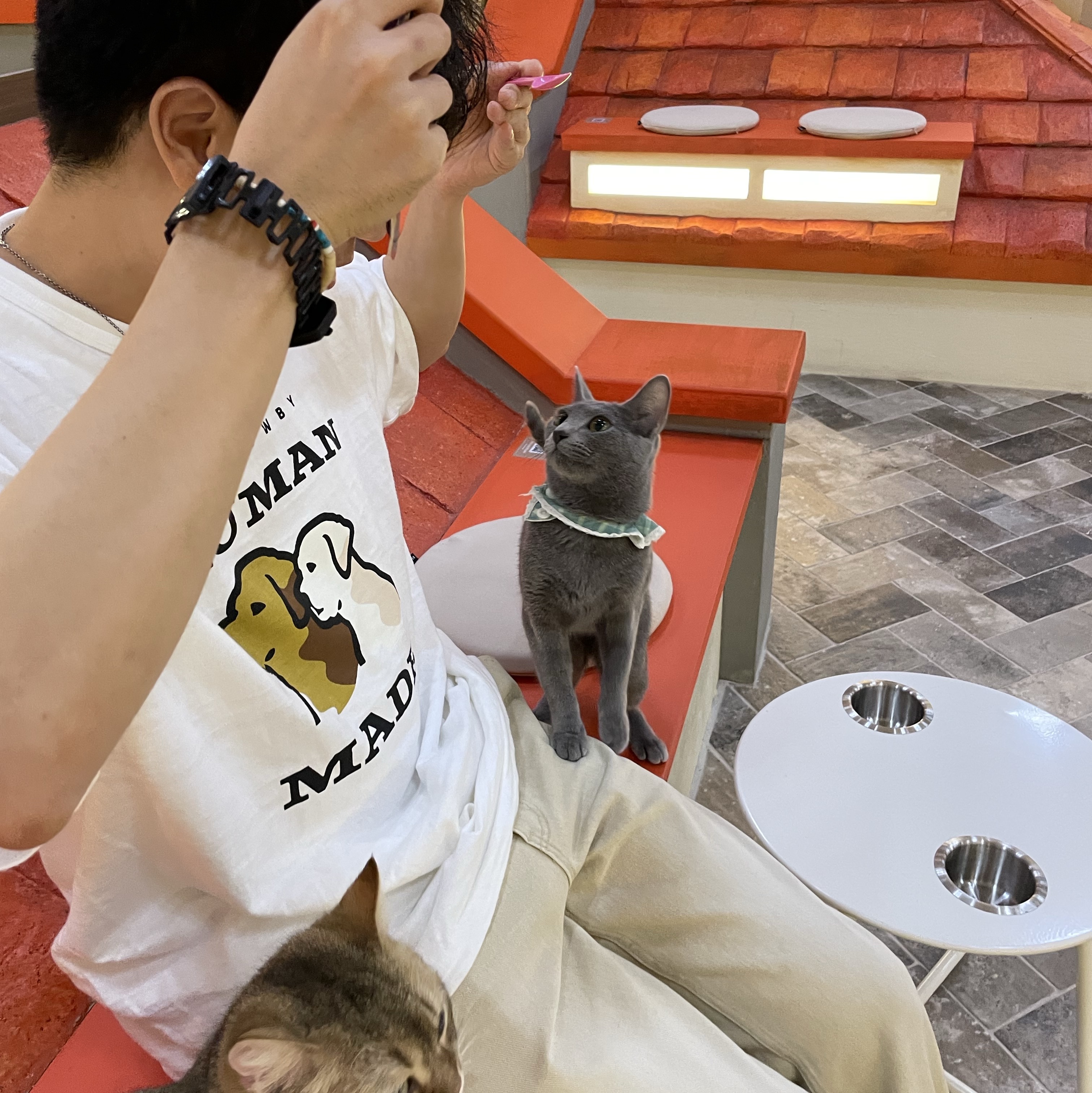 Human Made Graphic T-Shirt #12 White 착용 스타일