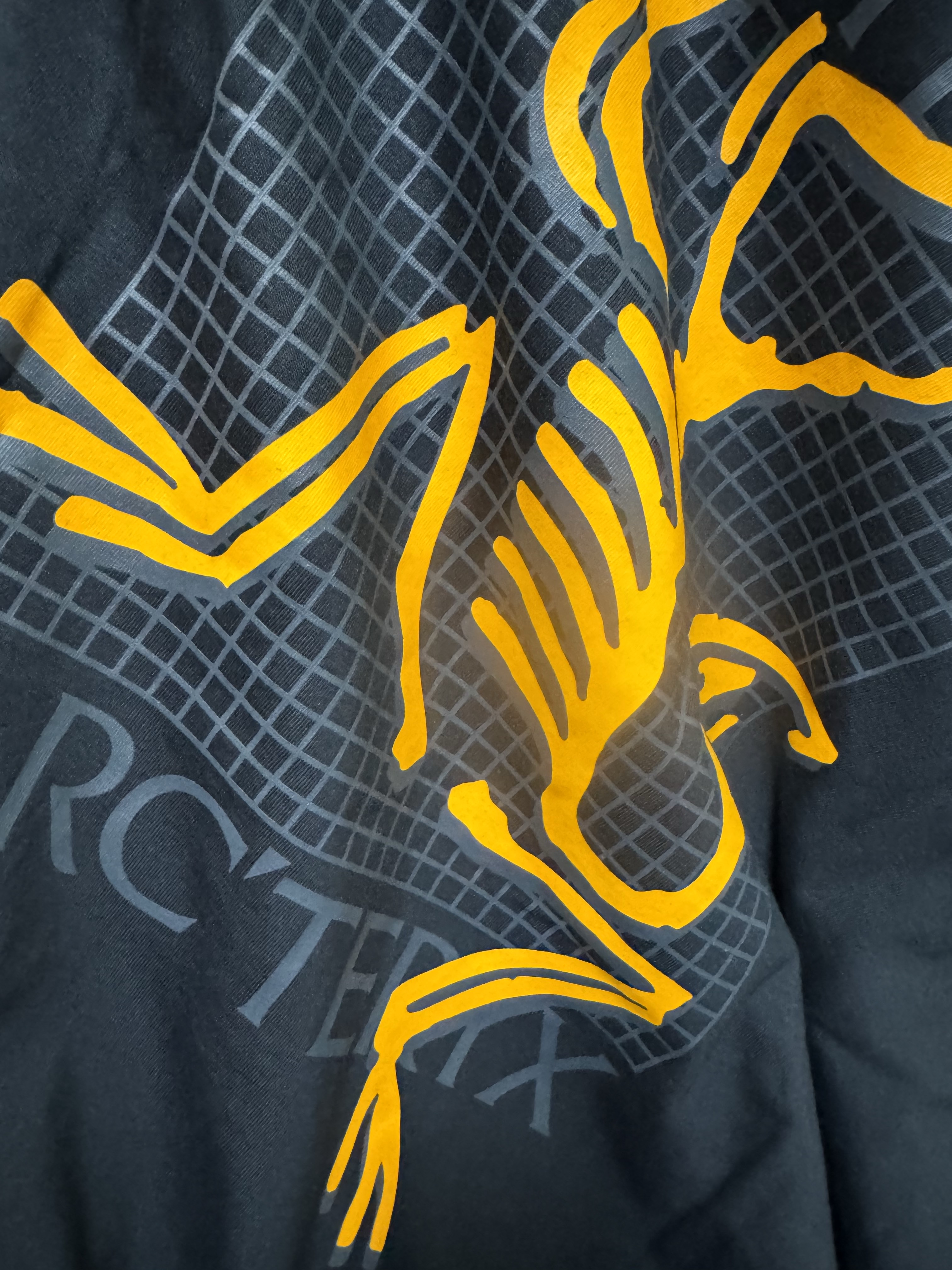 Arc'teryx Arc'Multi Bird Logo LS T-Shirt Black 착용 스타일 - 2