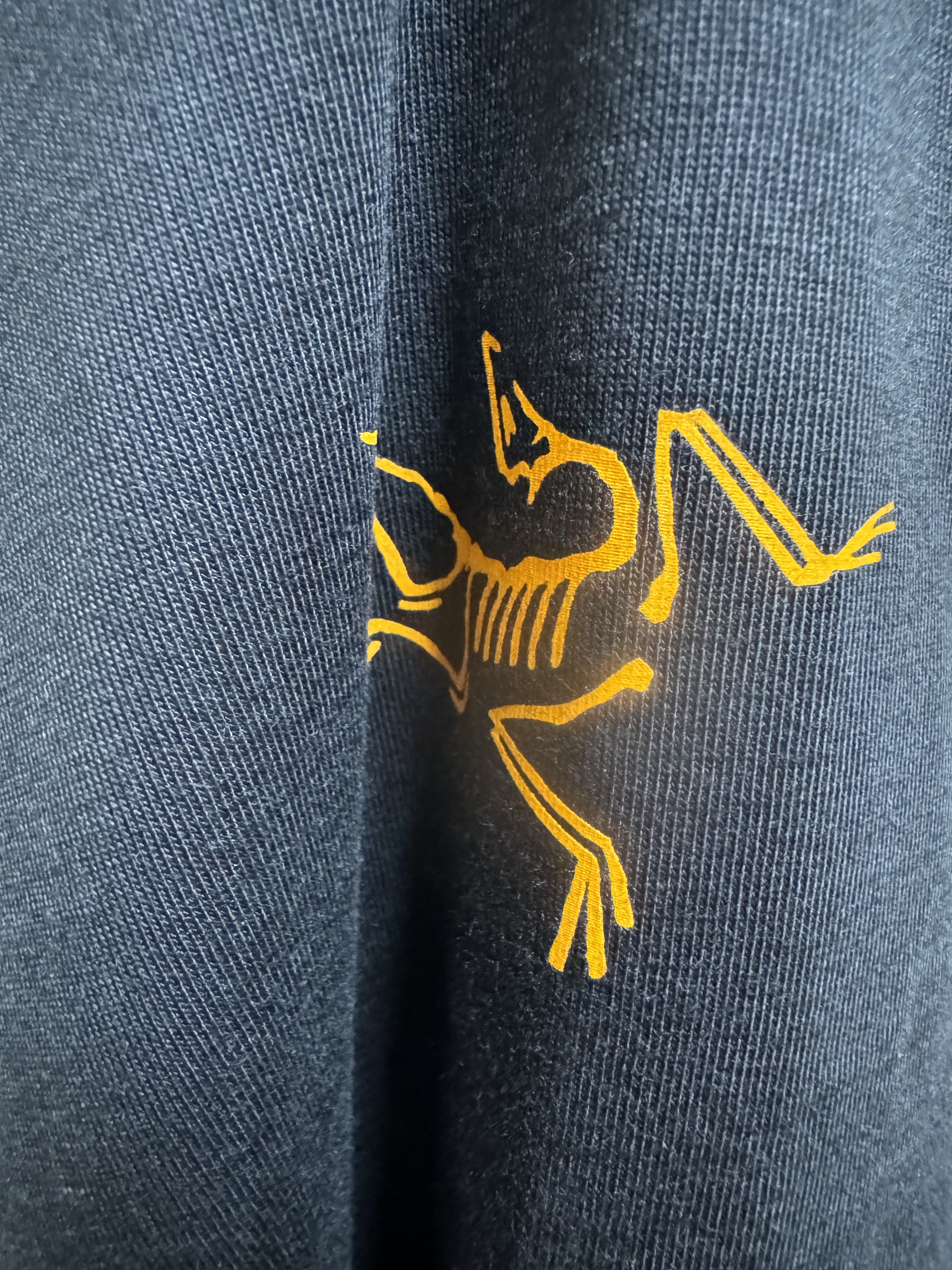 Arc'teryx Arc'Multi Bird Logo LS T-Shirt Black 착용 스타일 - 1