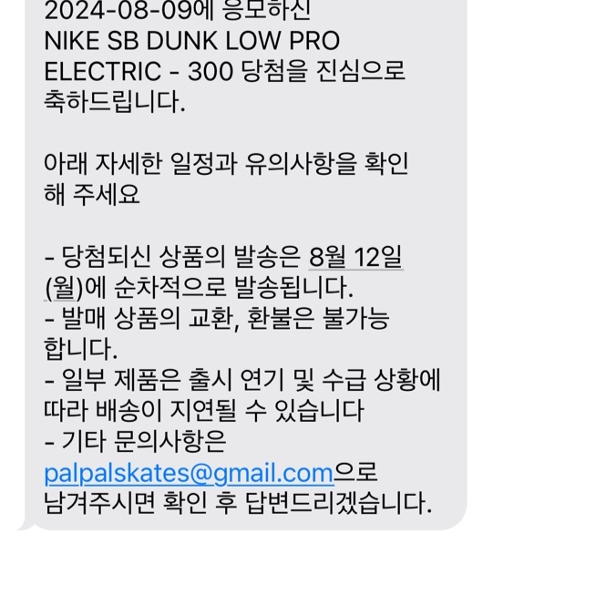 Nike SB Dunk Low Pro Electric Phantom and Black 착용 스타일 - 1