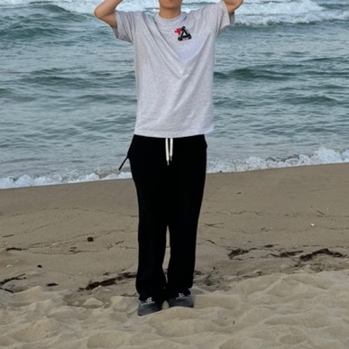 Palace Tri-Hearts T-Shirt Grey Marl - 24SS 착용 스타일