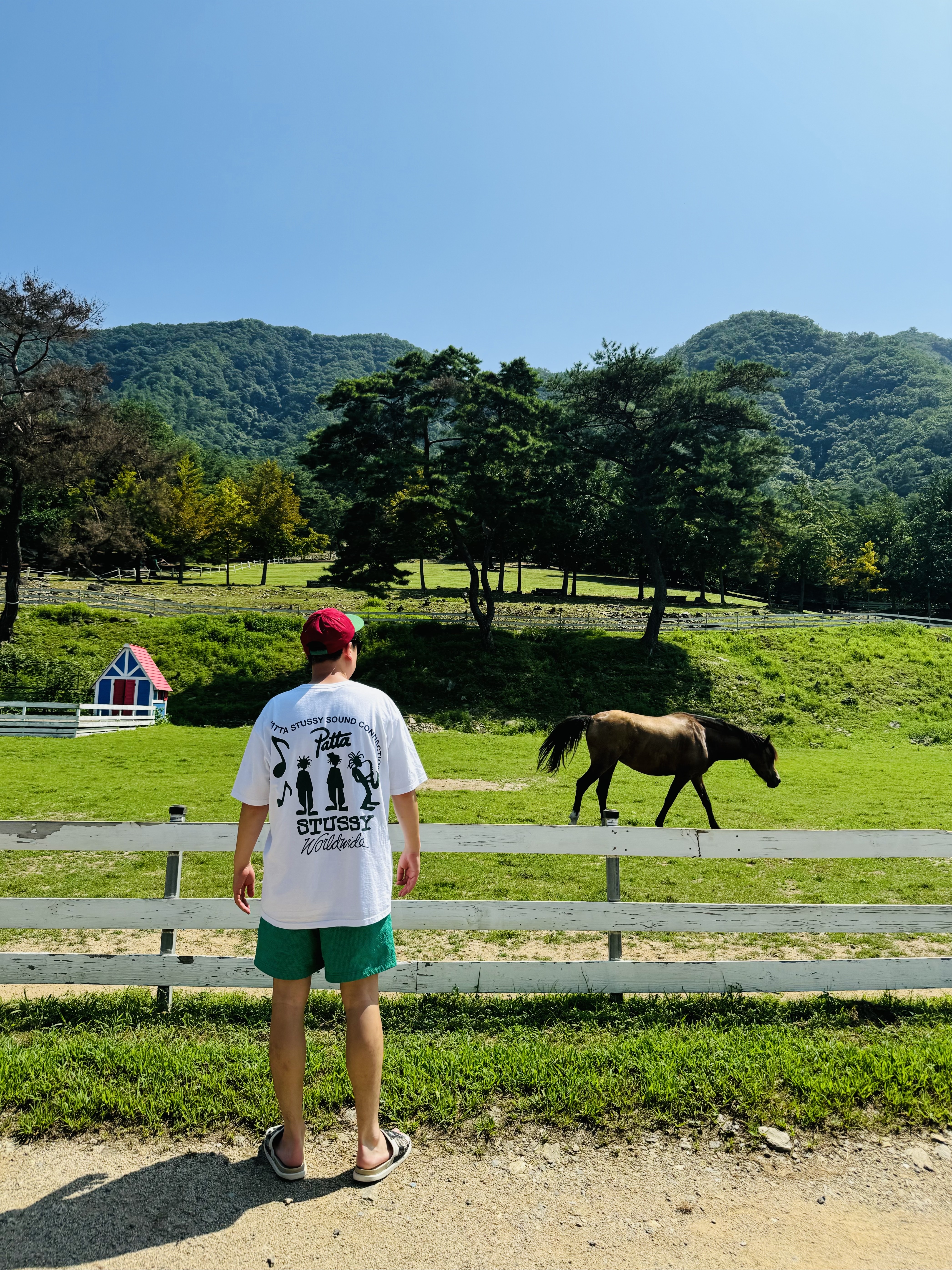 Stussy Low Profile Big Basic Snapback Maroon, Stussy x Patta Sound Connection T-Shirt White 착용 스타일 - 3