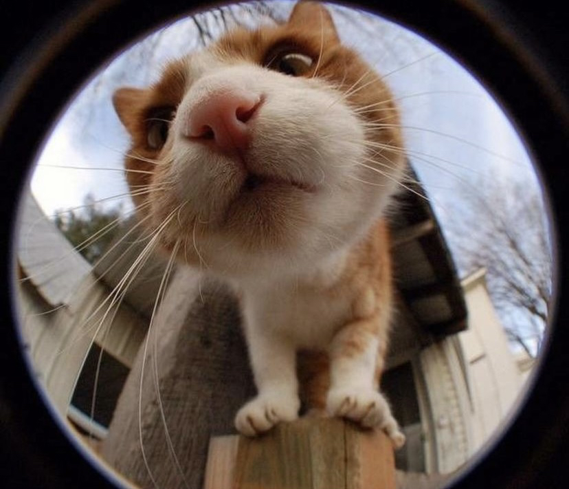 관심 유저 프로필 이미지