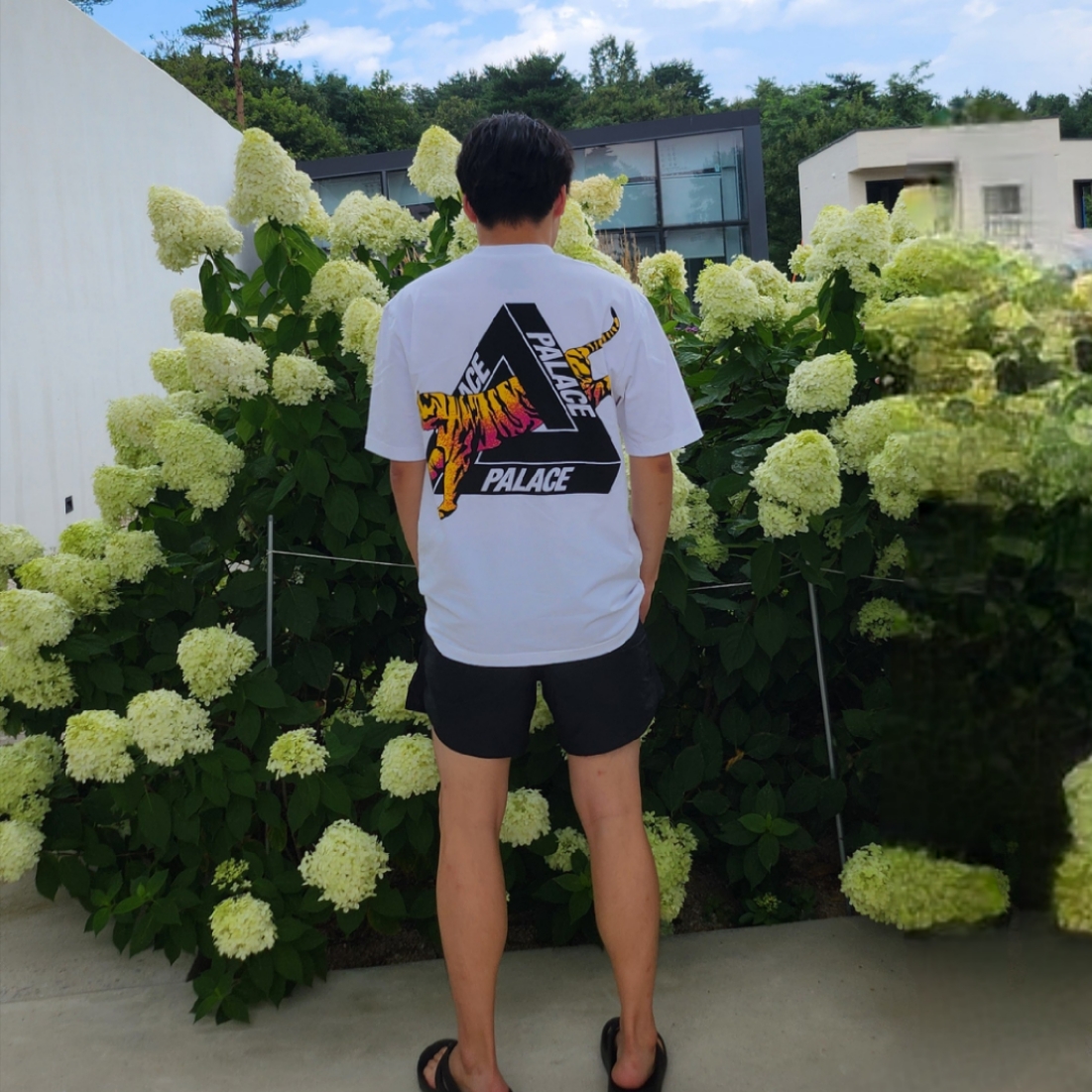 Palace Korea Tri-Ferg T-Shirt White - 24SS 착용 스타일