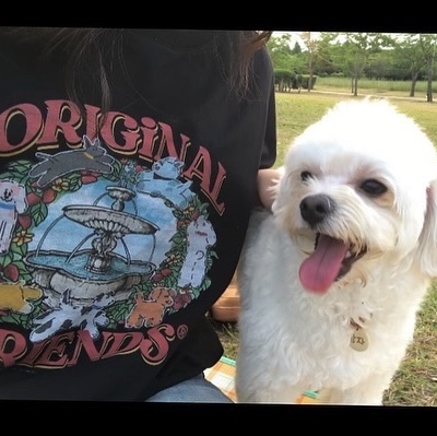 RDVZ Original Puppy Friends T-shirt Black 착용 스타일 - 2