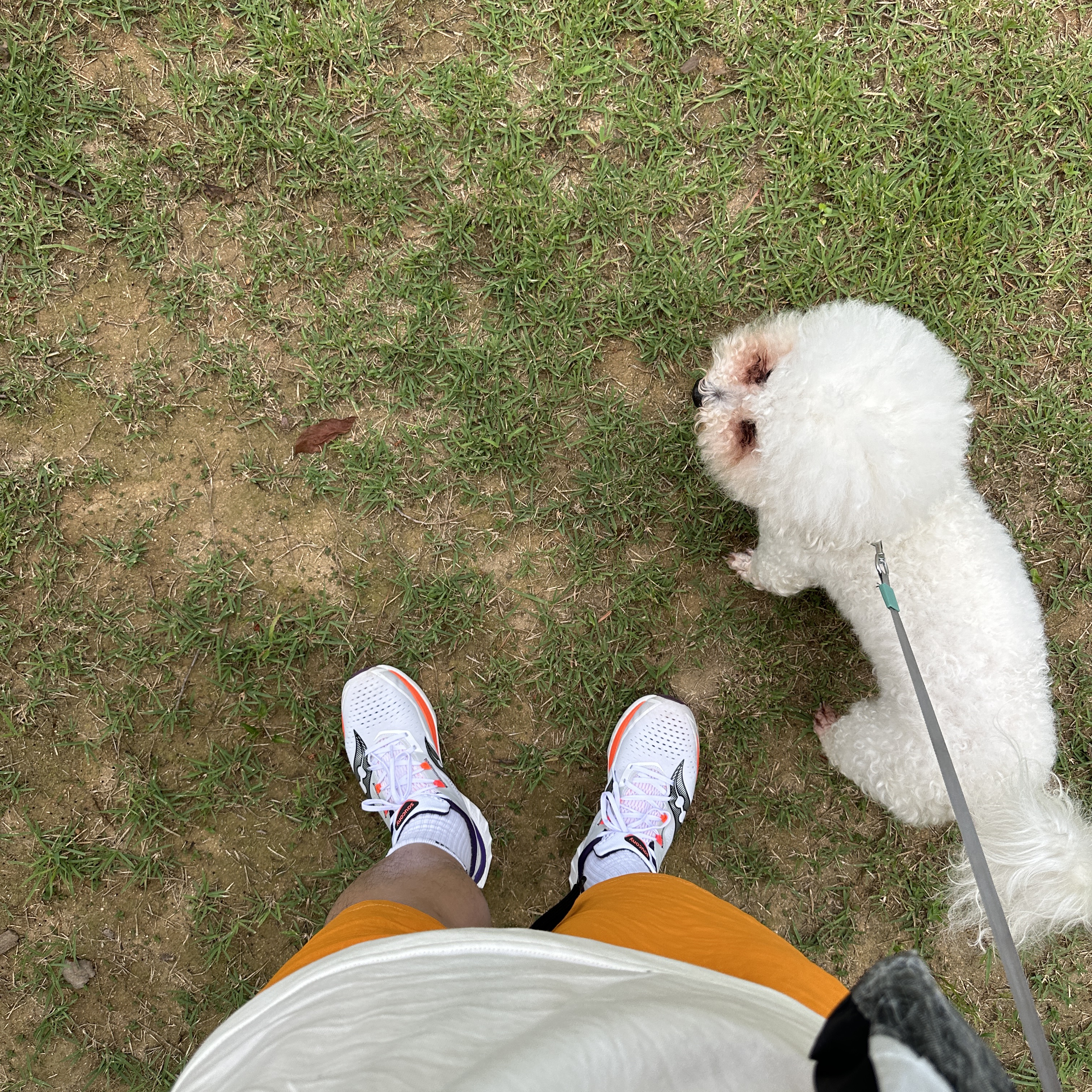 Saucony Endorphin Elite White Vizired 착용 스타일