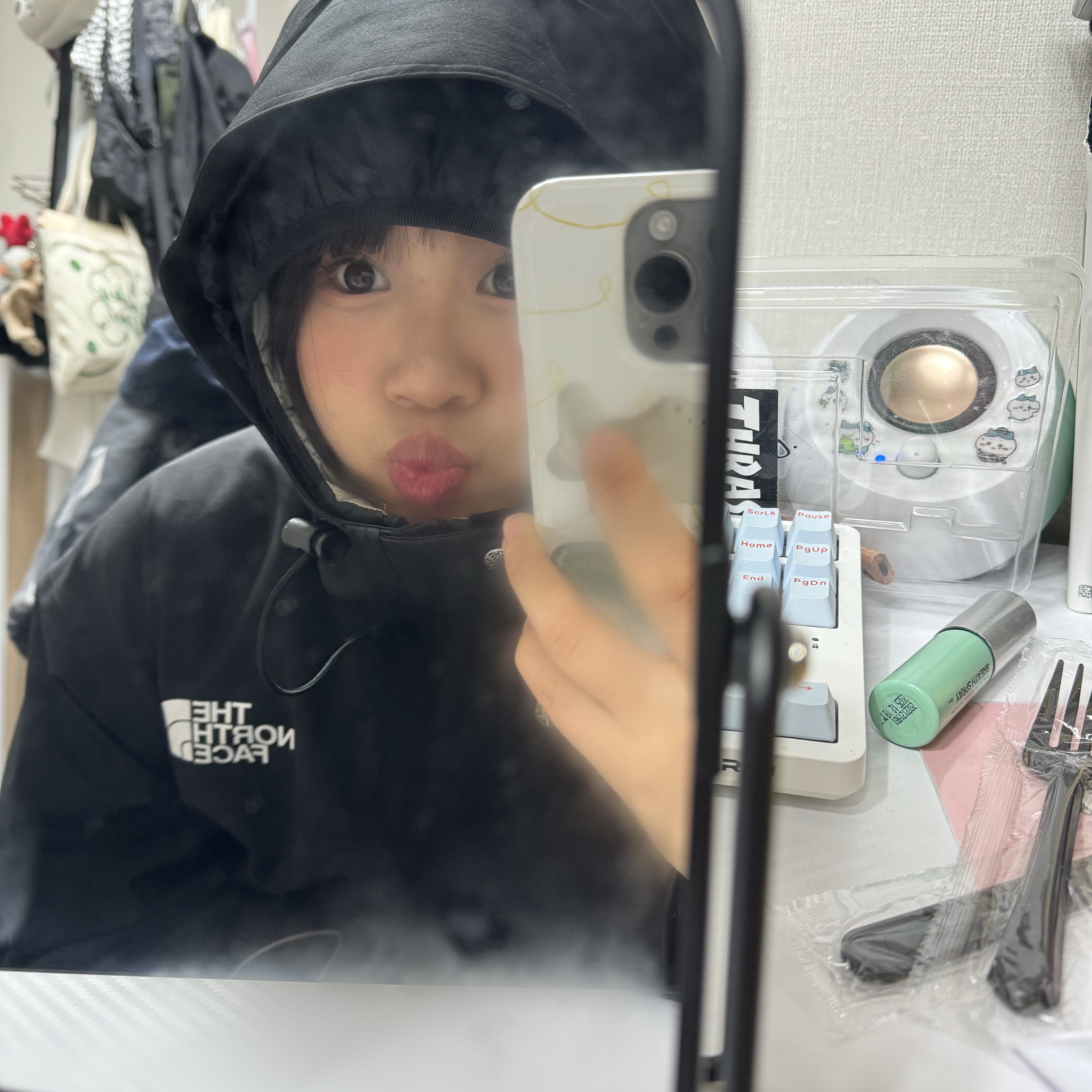 The North Face Retro 1986 Futurelight Mountain Jacket Dusty Rose, Arc'teryx Mantis 1 Waistpack Black II 착용 스타일 - 2