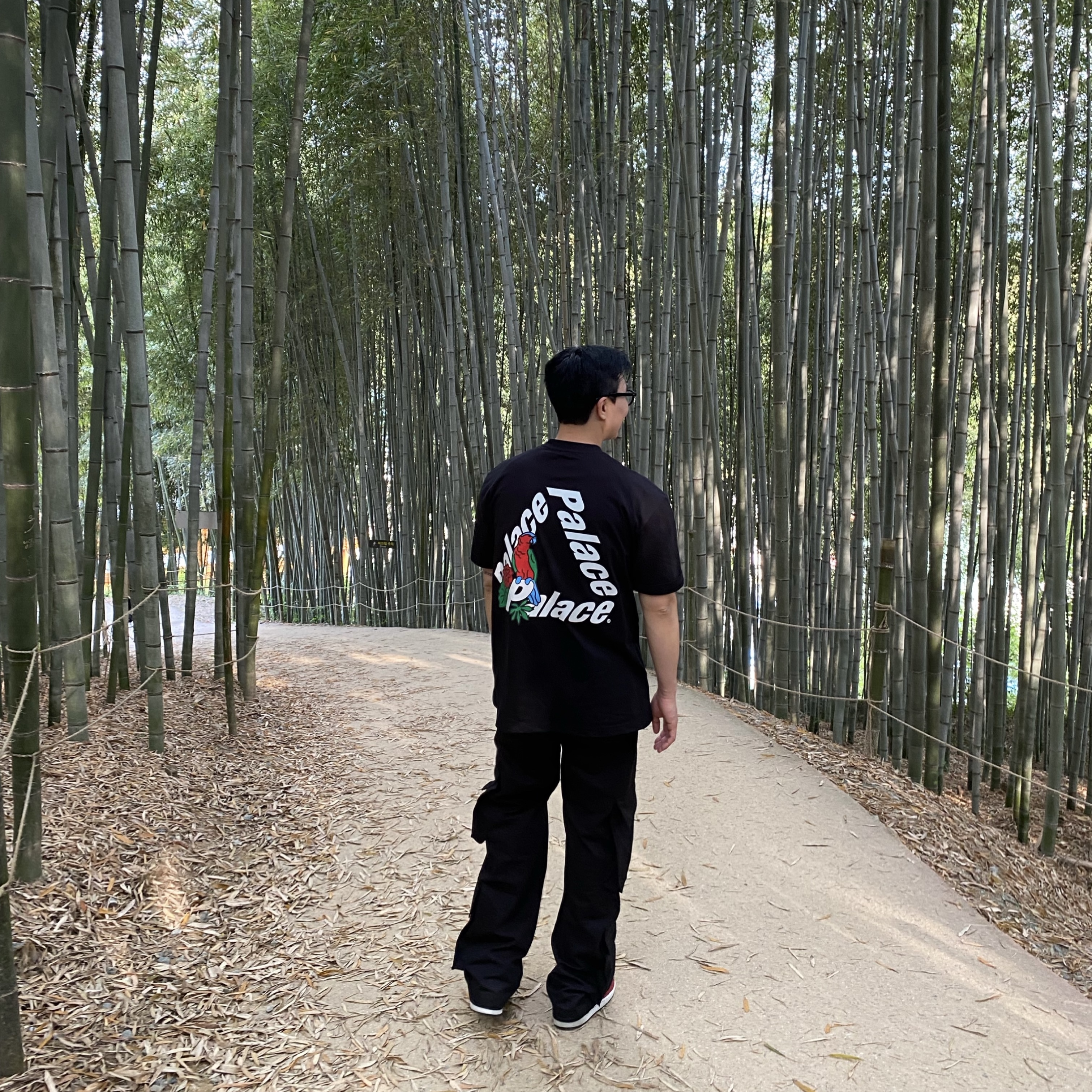Palace Parrot Palace-3 T-Shirt Black - 20FW, (GS) Jordan 1 Low Varsity Red 착용 스타일 - 1