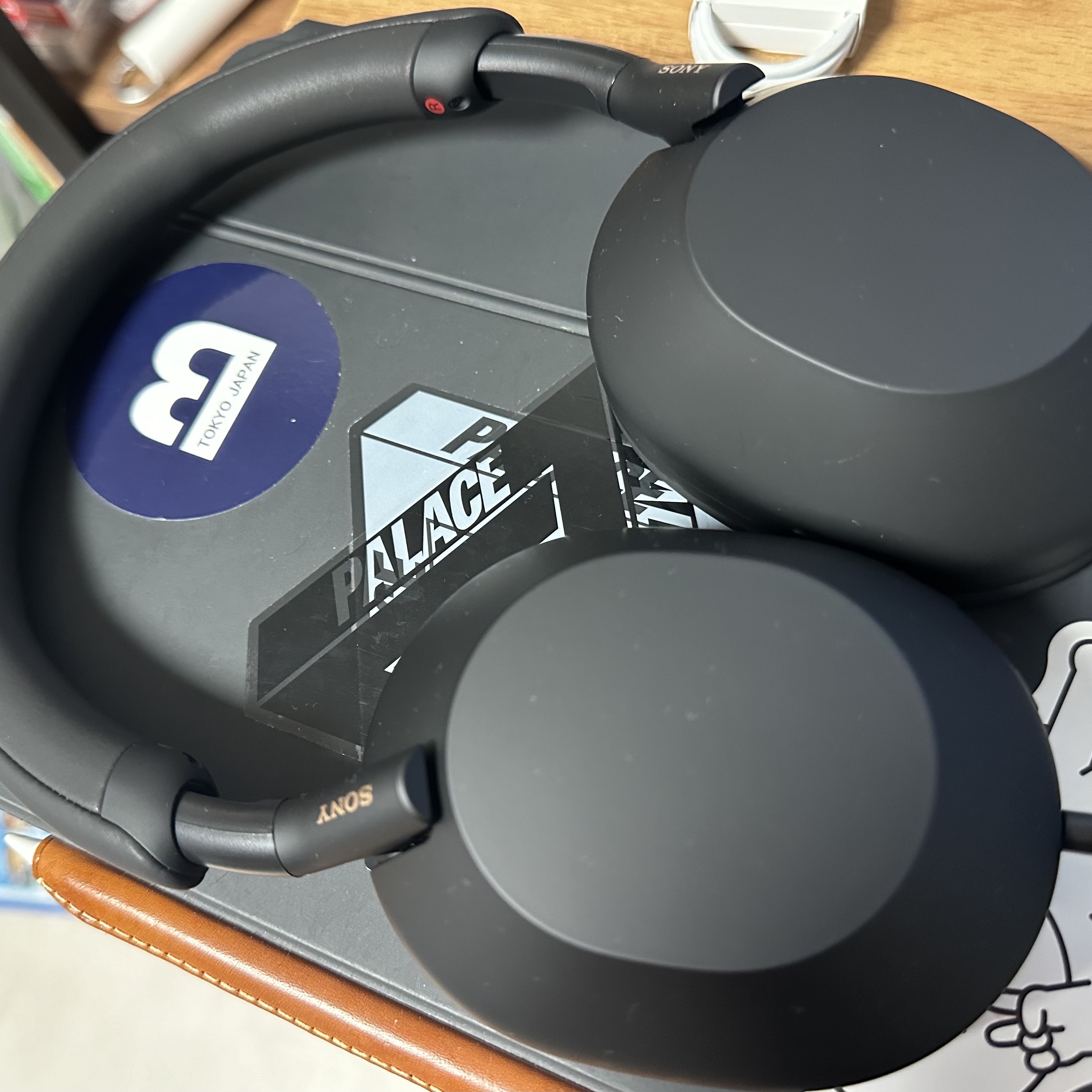 Sony WH-1000XM5 Black (Sony Korea Ver.) 착용 스타일