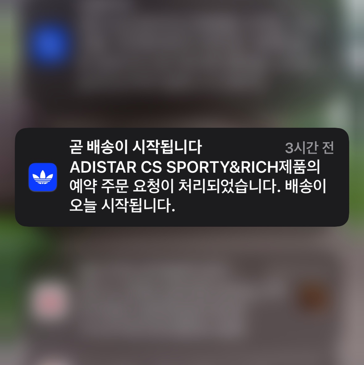 Adidas x Sporty & Rich Adistar Cushion Cloud White Night Indigo, Apple iPhone 15 Pro 512GB White Titanium (Korean Ver.) 착용 스타일 - 1