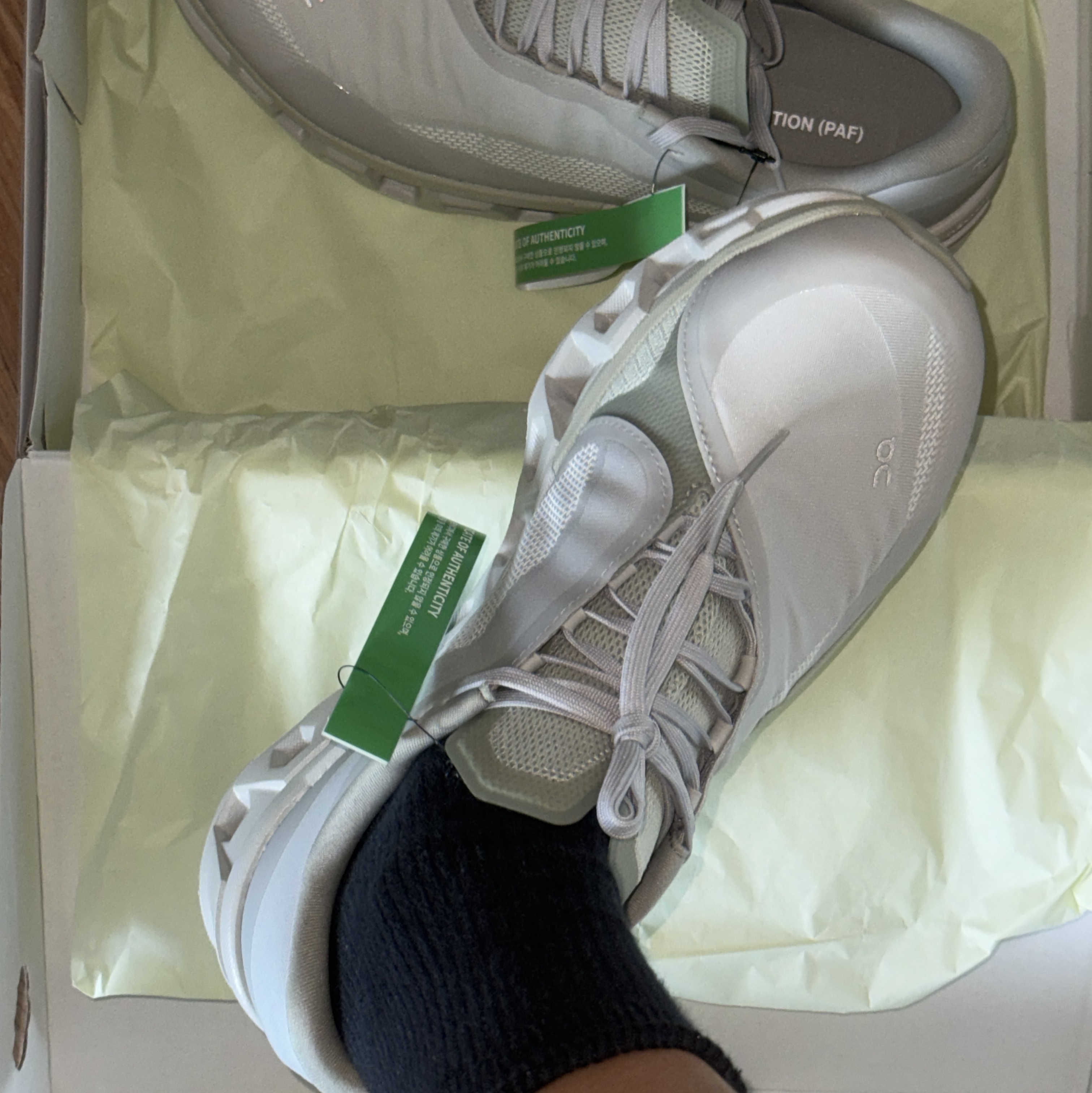 On Running x Post Archive Faction (Paf) Cloudmonster 2 Moondust Chalk 착용 스타일
