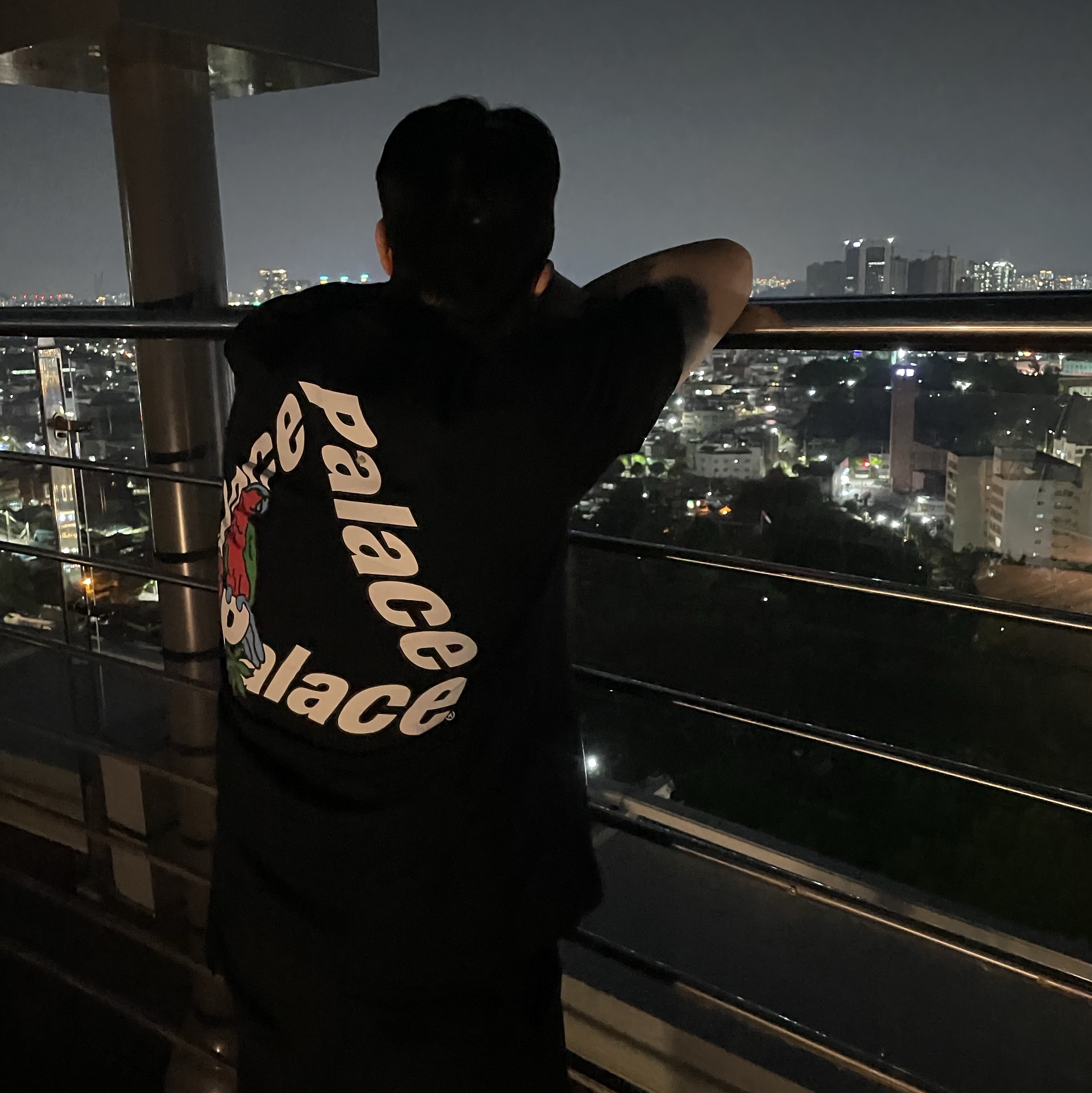 Palace Parrot Palace-3 T-Shirt Black - 20FW, (GS) Jordan 1 Low Varsity Red 착용 스타일 - 3