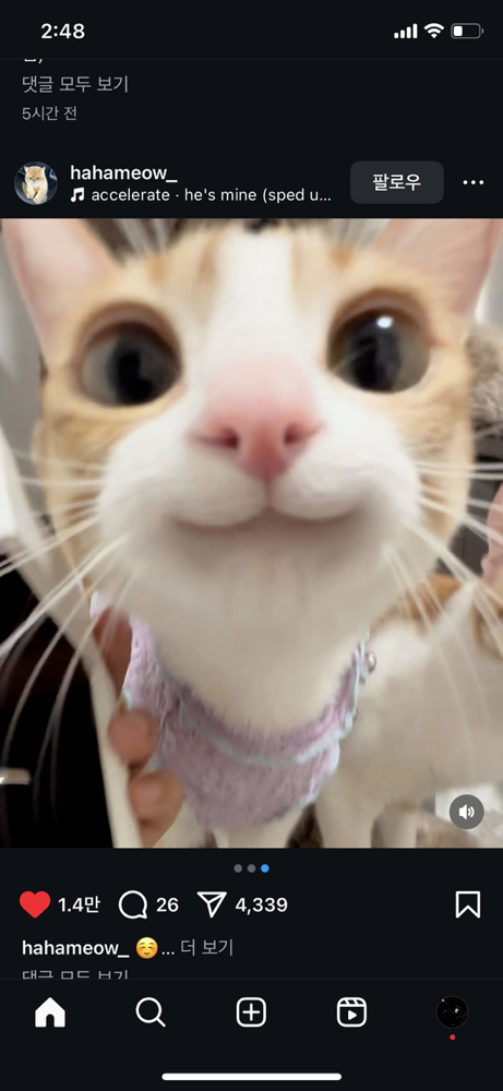 KREAM 프로필 이미지