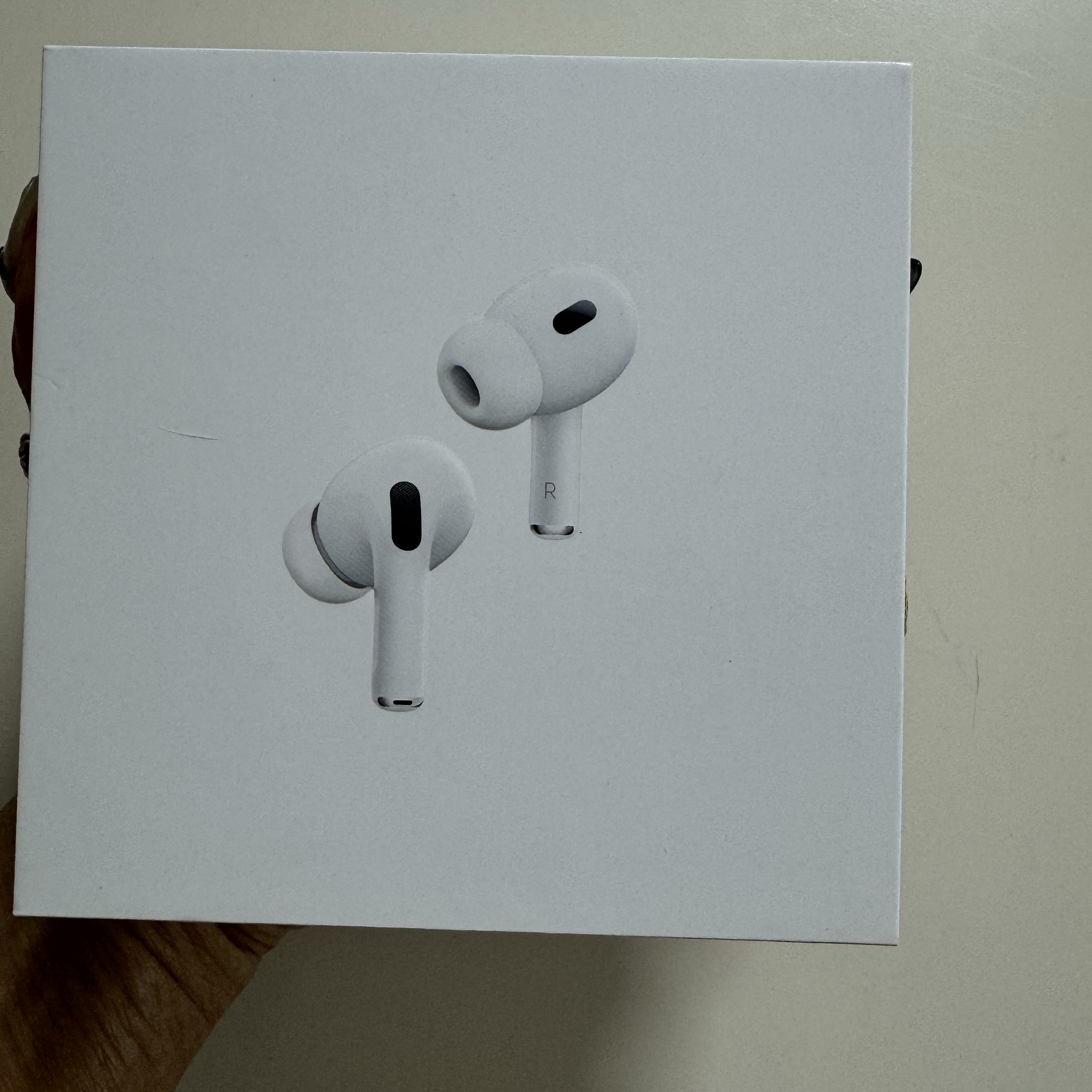 Apple Airpods Pro 2nd Gen with MagSafe Charging Case USB C (Korean Ver.) 착용 스타일