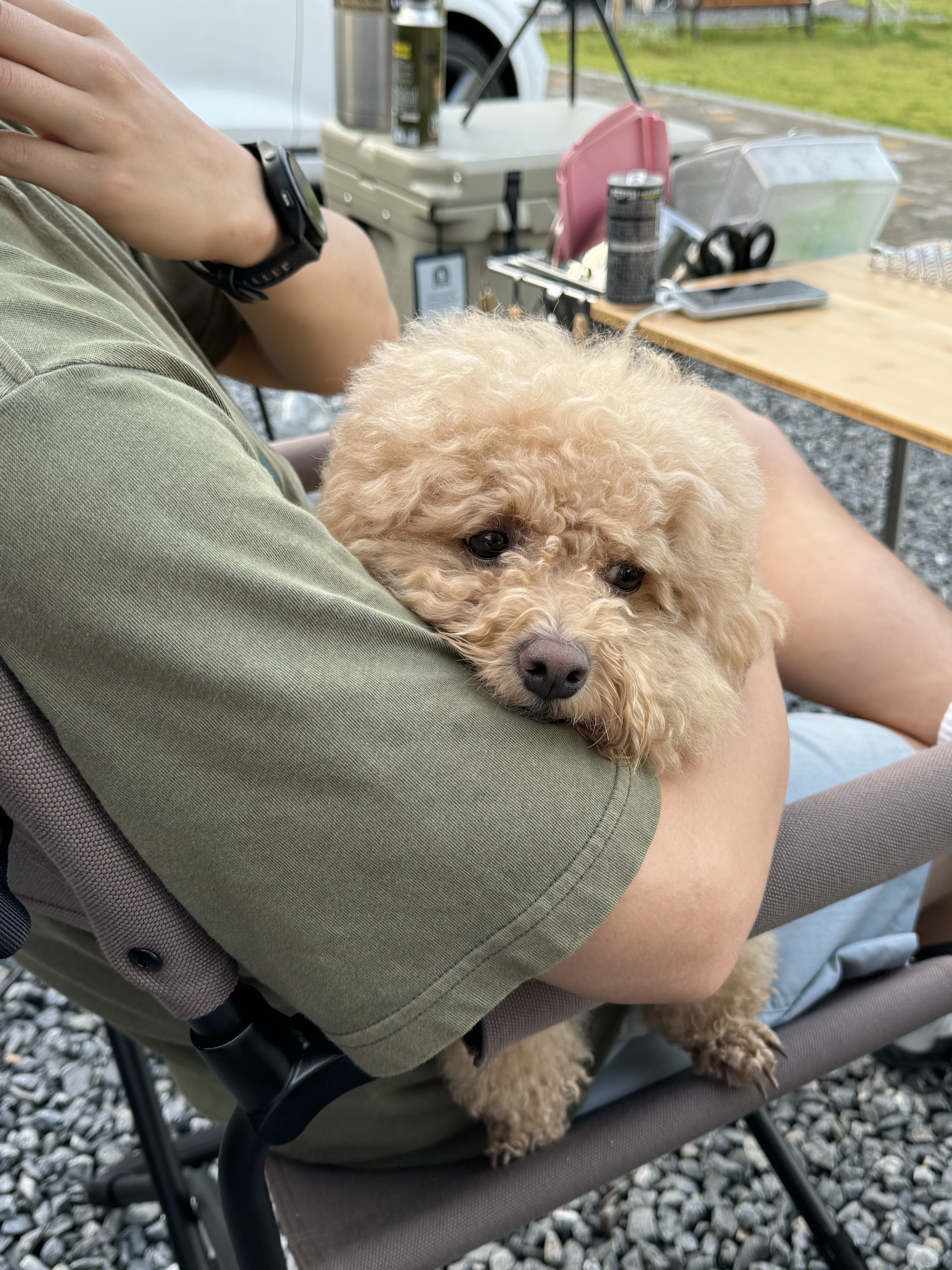 μμ
μ΄λ―Έμ§