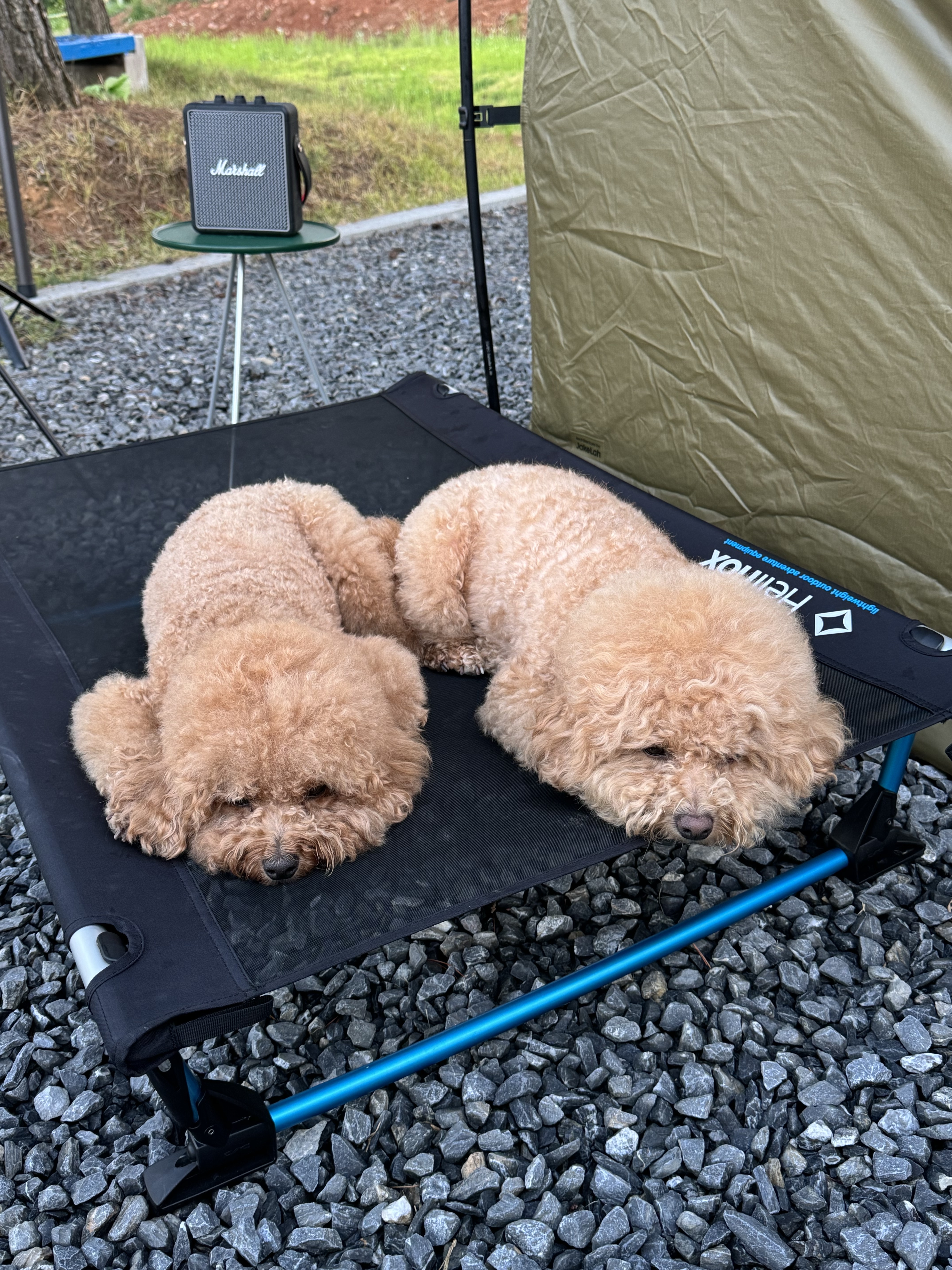 μμ
μ΄λ―Έμ§