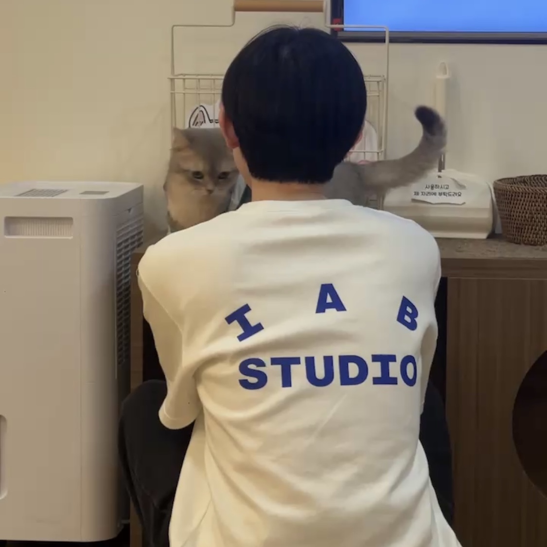 IAB Studio 10th Anniversary T-Shirt White 착용 스타일
