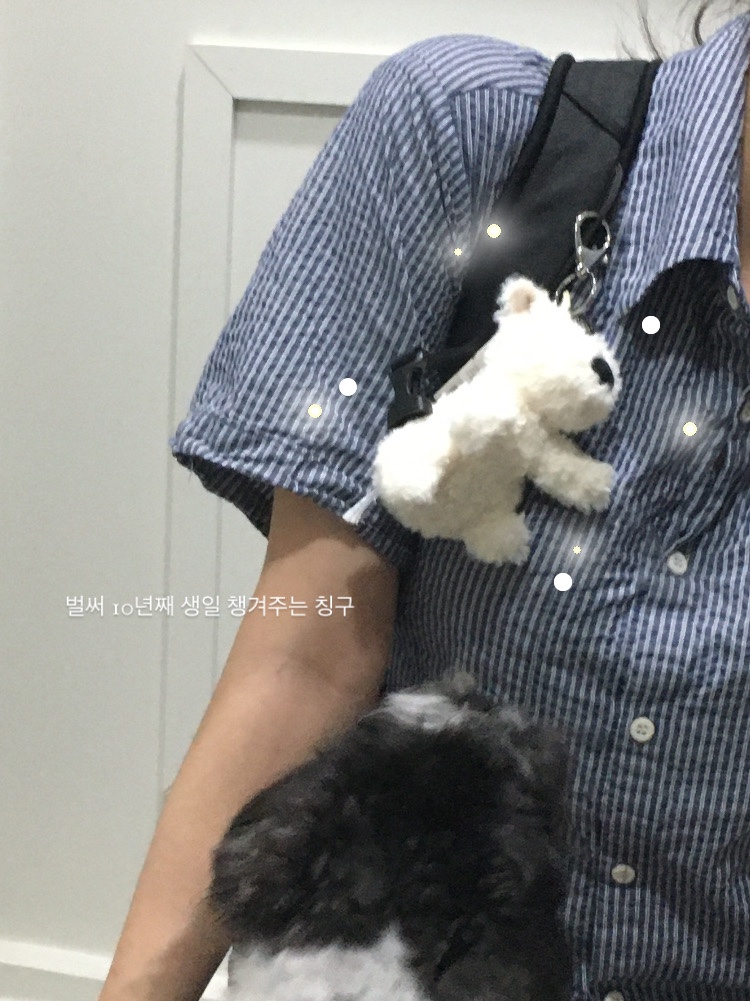 Jellycat Munro Scottie Dog Bag Charm Cream, Arc'teryx Mantis 16 Backpack Black 착용 스타일 - 1