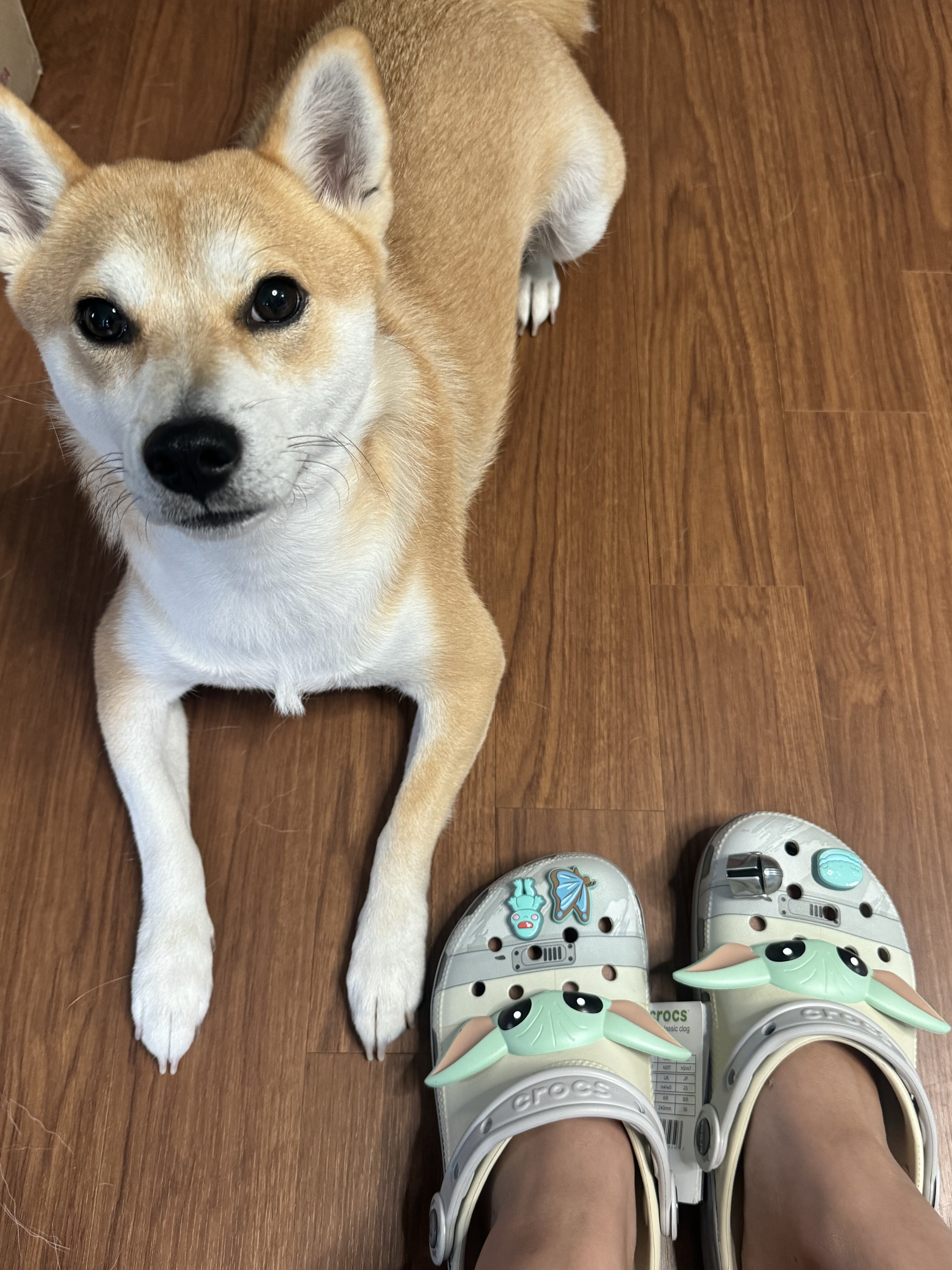 Crocs x Star Wars Glogoo Classic Clog Bone 착용 스타일 - 1