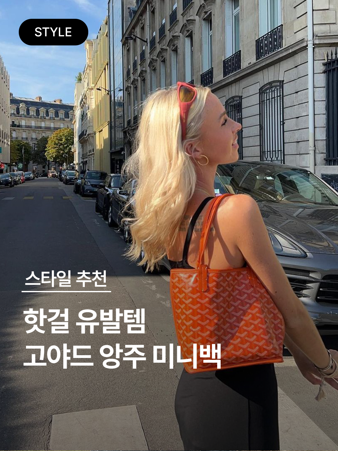 Goyard Saint Louis GM Bag Green, Goyard Chien Gris Bag Blue 착용 스타일 - 1
