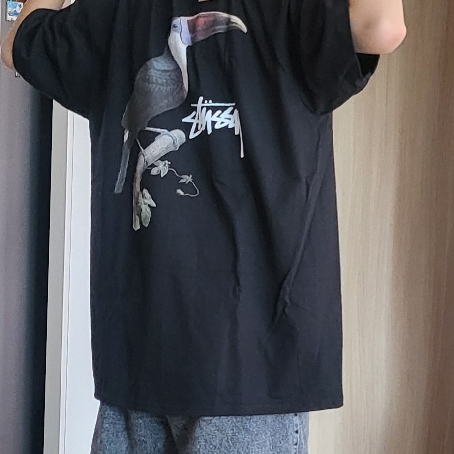 Stussy Toucan T-Shirt Black 착용 스타일