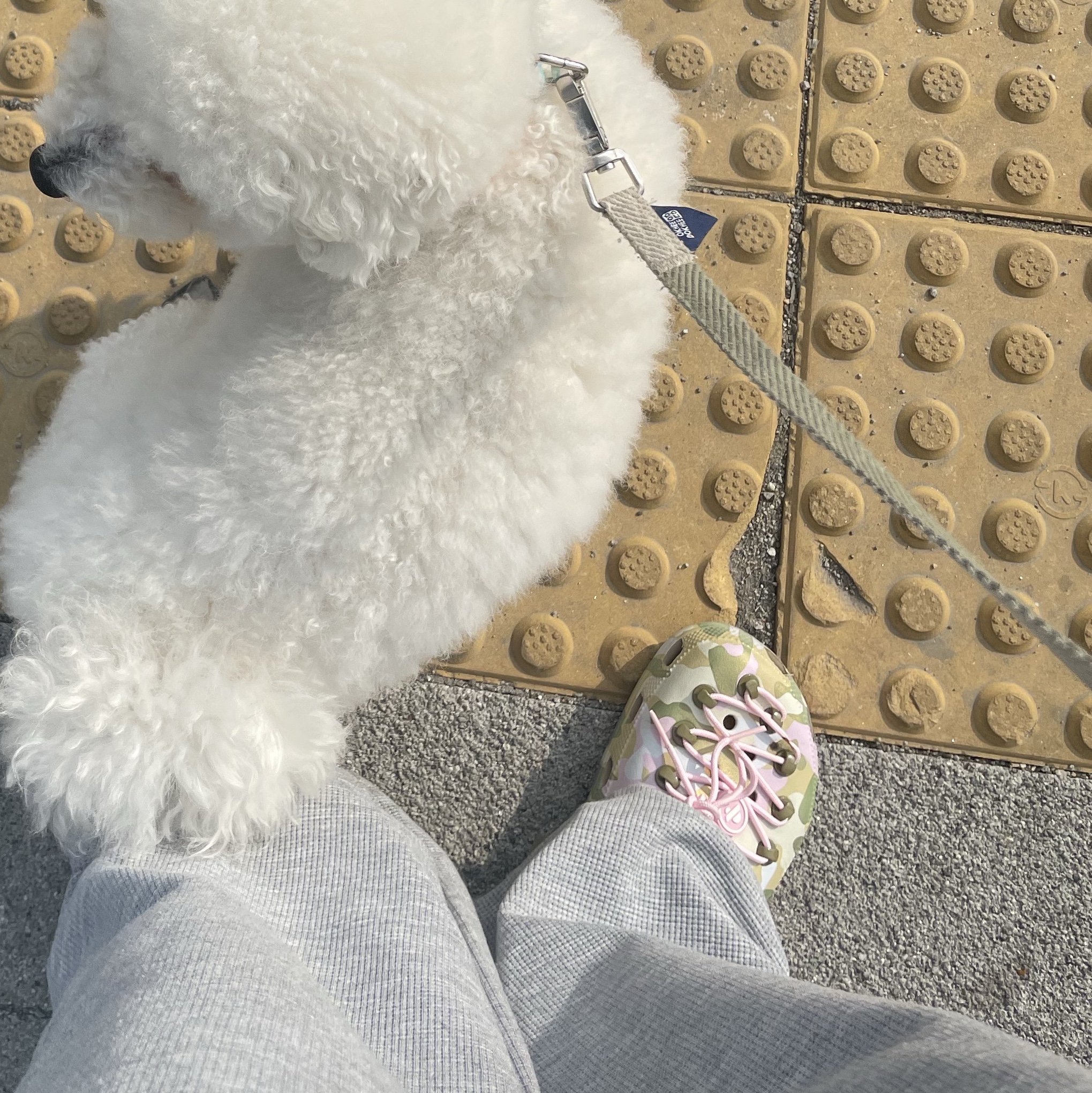 Crocs x Casestudy Classic Clog Multi 착용 스타일