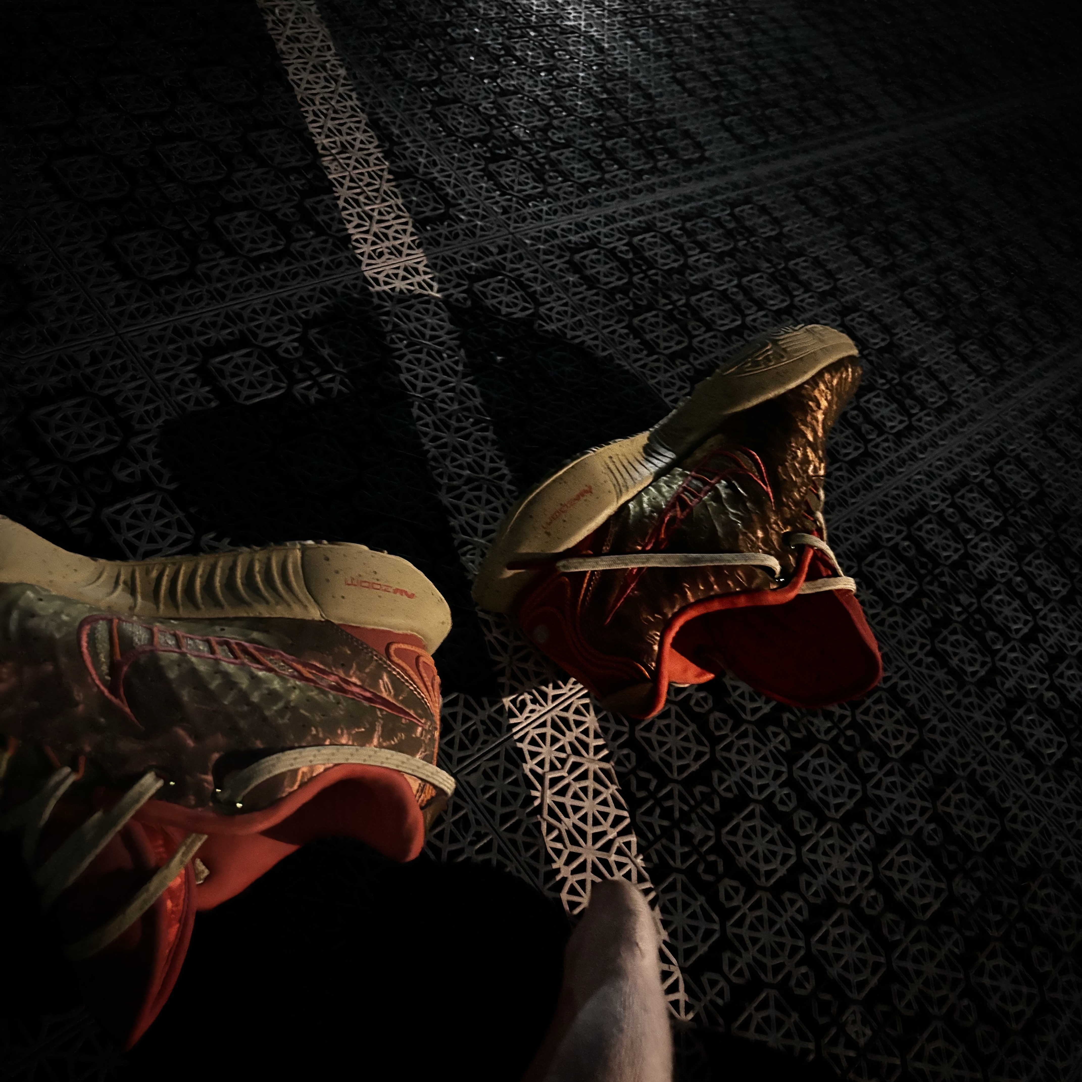 Nike Lebron XXI EP Queen Conch 착용 스타일
