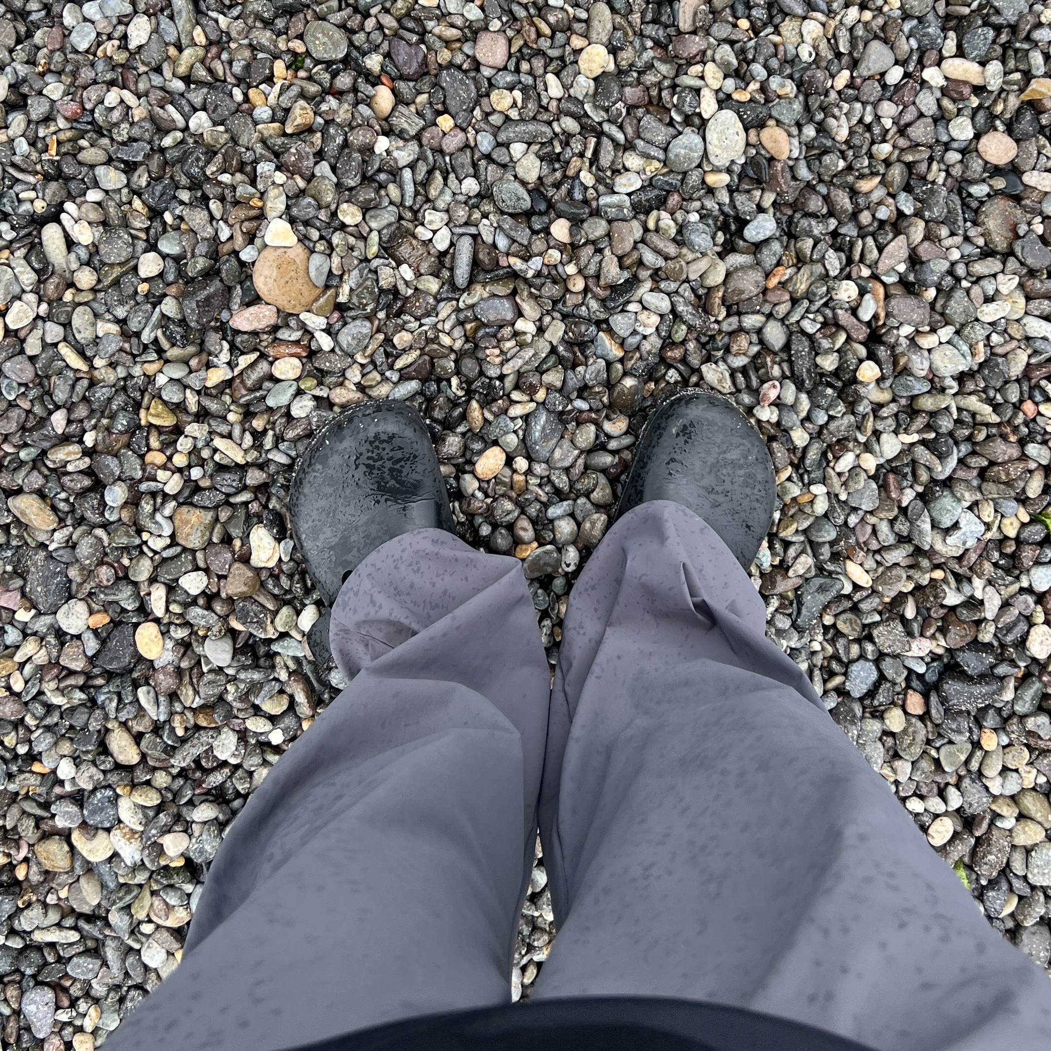 Birkenstock Boston Essentials Eva Black - Regular, Birkenstock Boston Essentials Eva Black - Narrow 착용 스타일