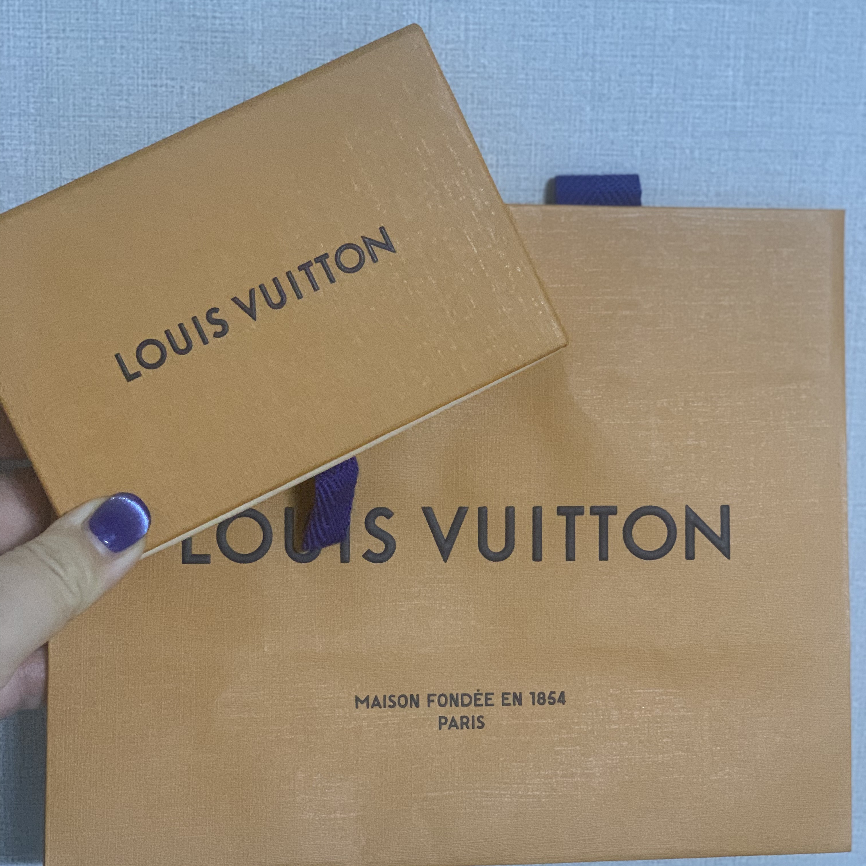 Louis Vuitton Envelope Business Card Holder Monogram 착용 스타일