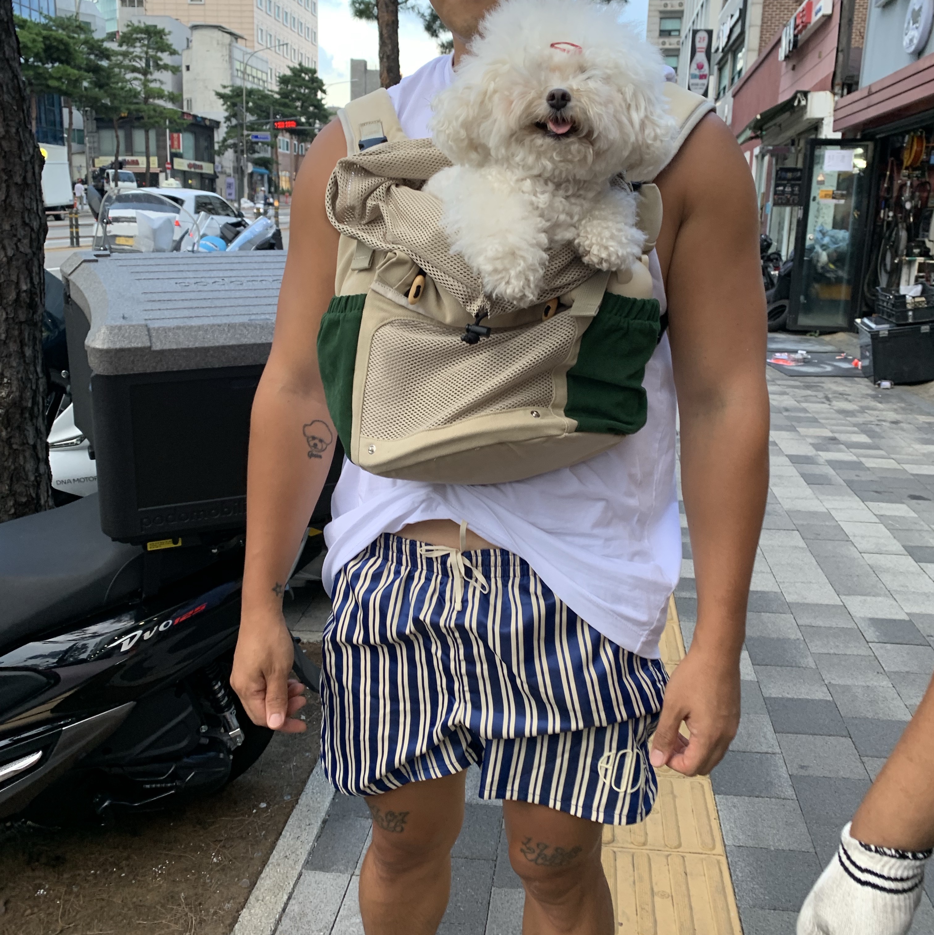 Nike x Bode Astrograbber SP Light Cream and Black, Nike x Bode Scrimmage Shorts Ecru Deep Royal Blue - Asia 착용 스타일 - 4