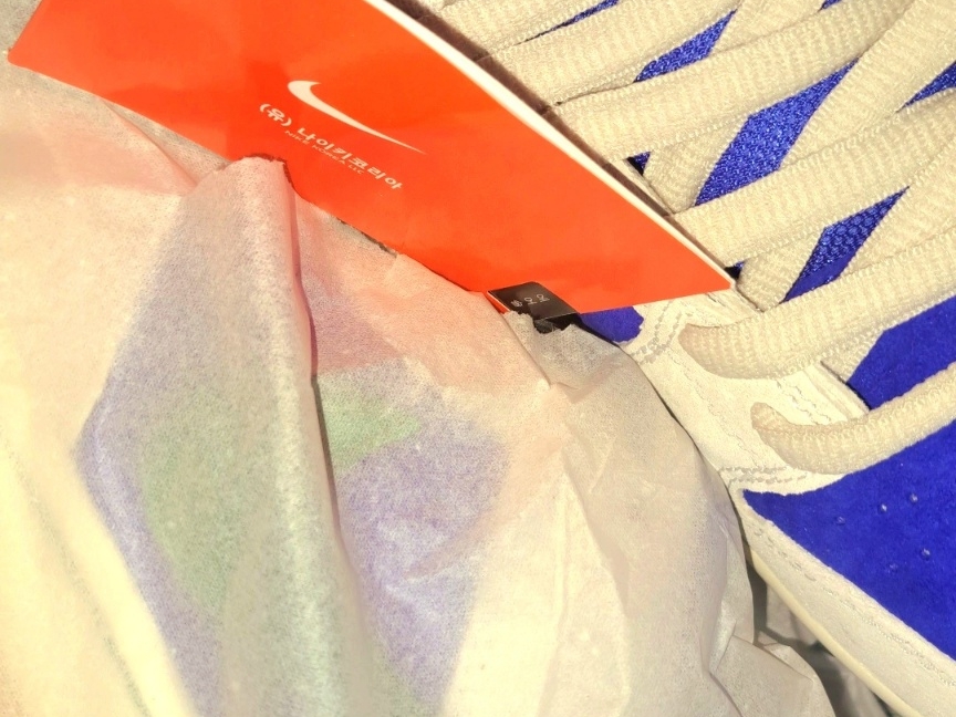 Nike SB Dunk Low Pro Phantom and Hyper Royal 착용 스타일 - 1