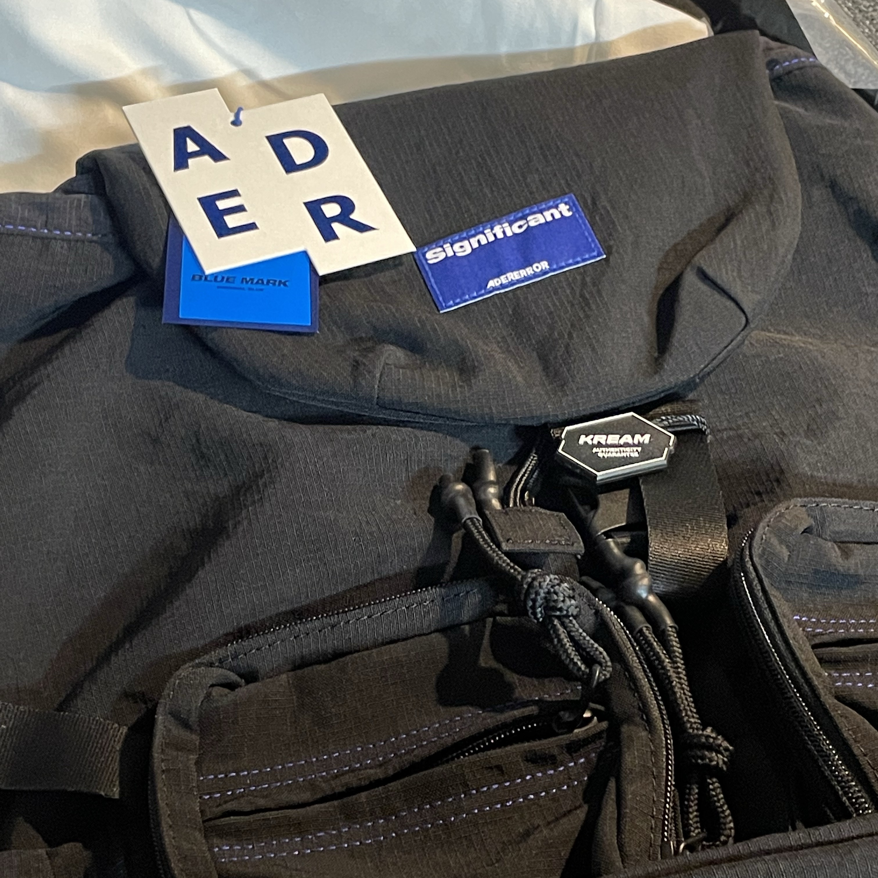 Ader Error Significant Tag Backpack 01 Noir 착용 스타일