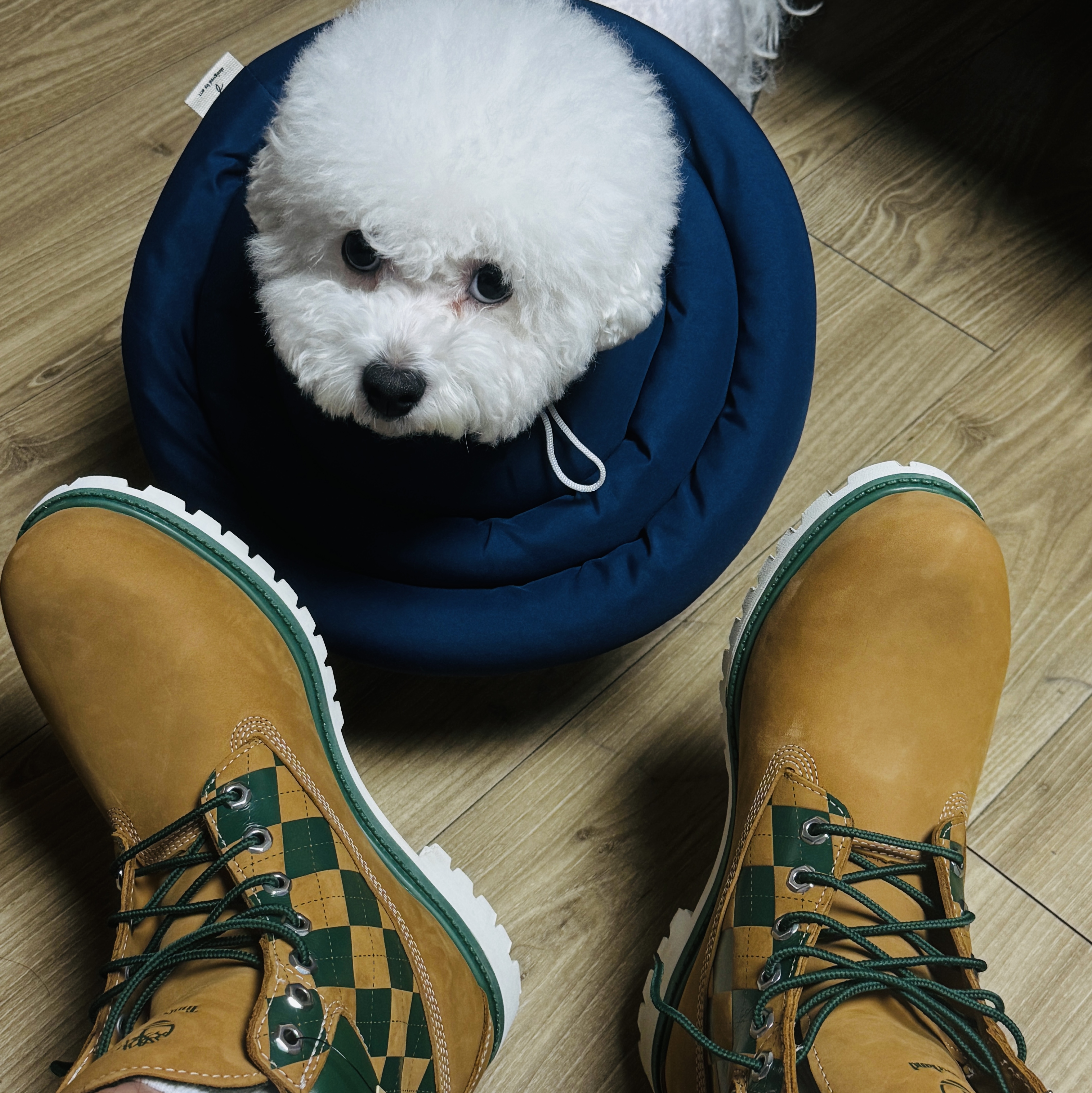 KASINA x Timberland 6 In Premium Vibram GTX Wheat, Kasina x Timberland 6 In Premium Vibram Gtx Wheat - Wide 착용 스타일 - 1