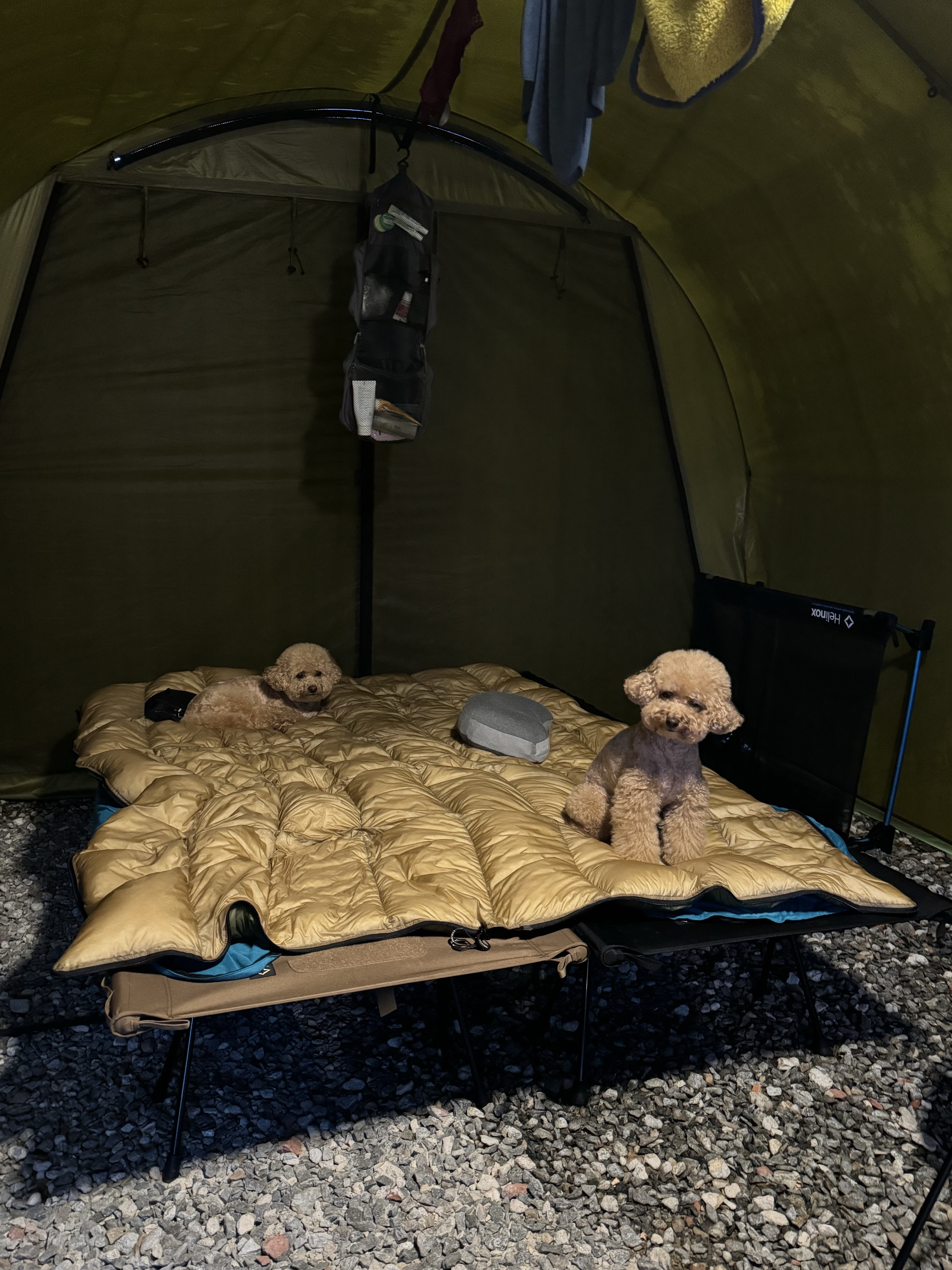 μμ
μ΄λ―Έμ§