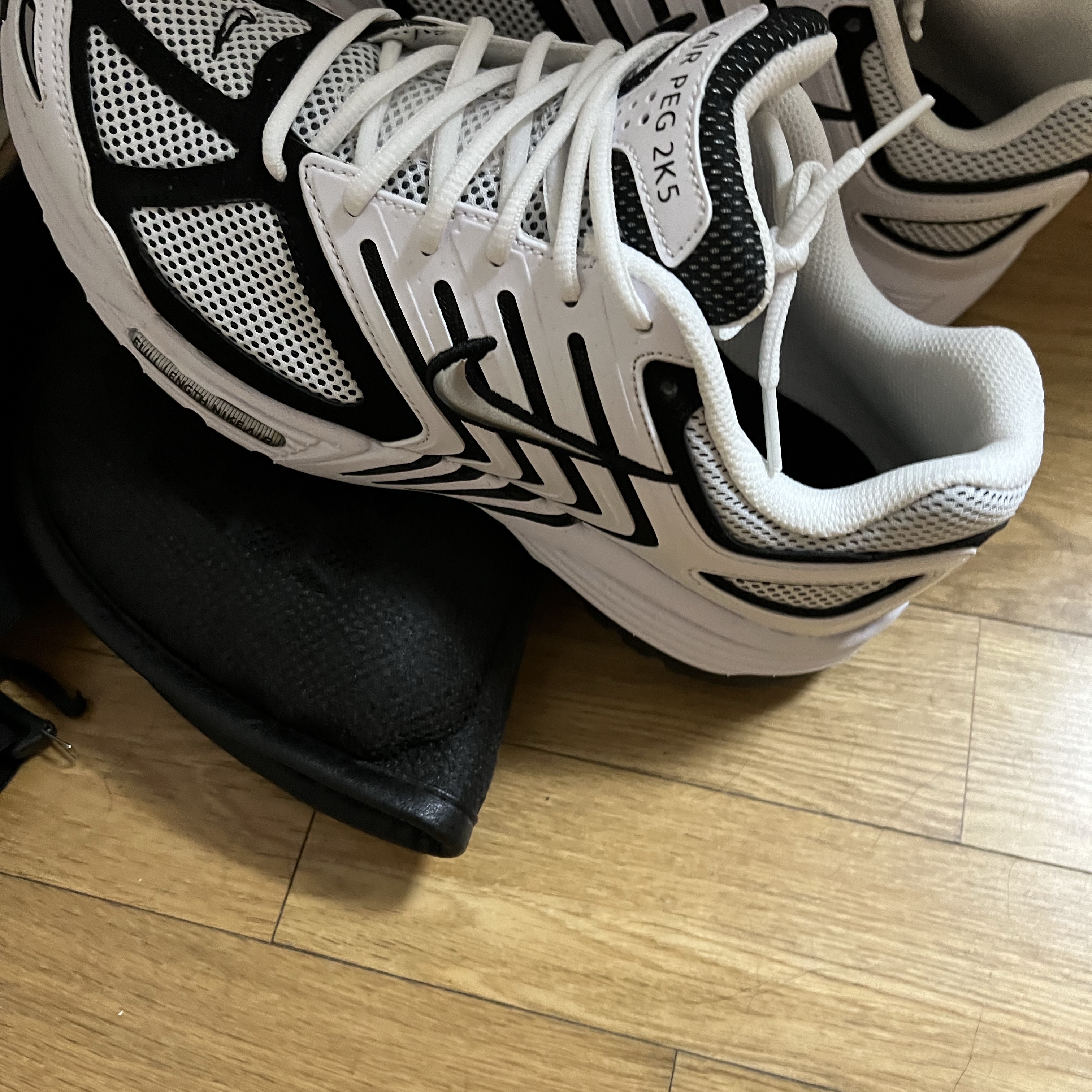 Nike Air Pegasus 2K5 White Black 착용 스타일