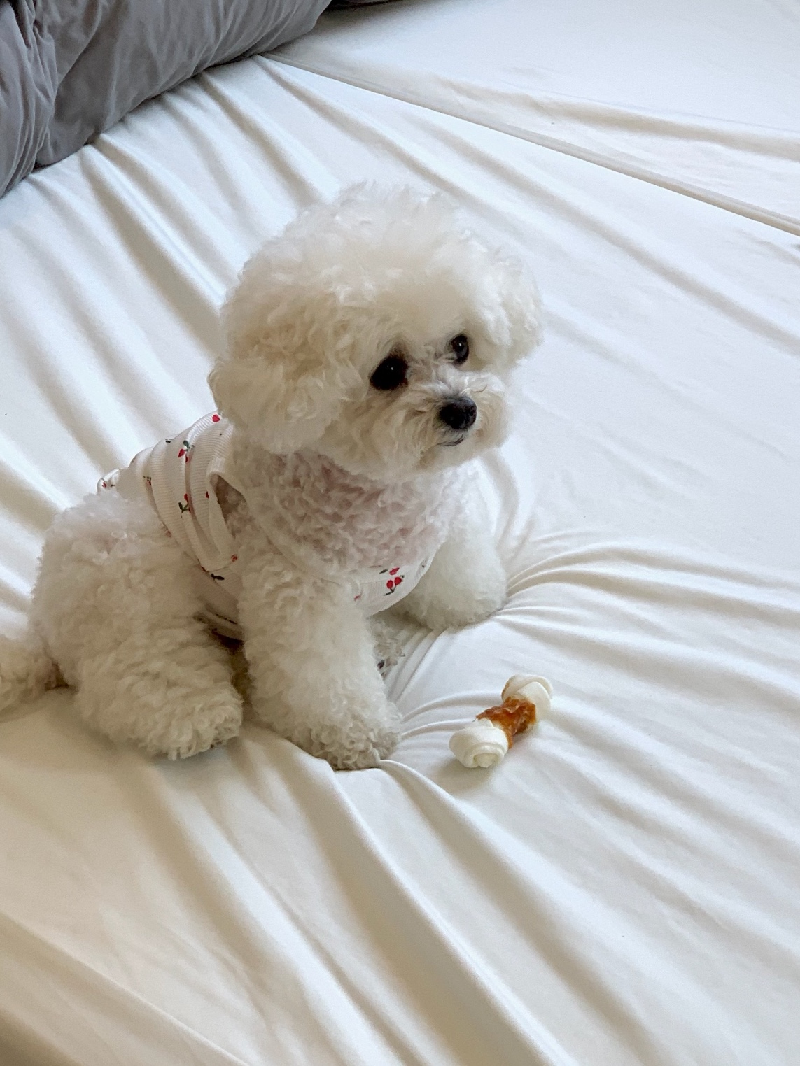 해 린님의 스타일 - 2