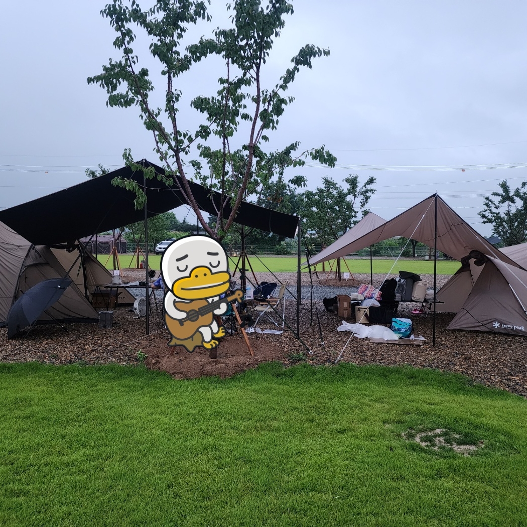 Snow Peak Land Nest M Tent Tarp Set, Snow Peak Flat Burner (Korean Ver.) 착용 스타일 - 6